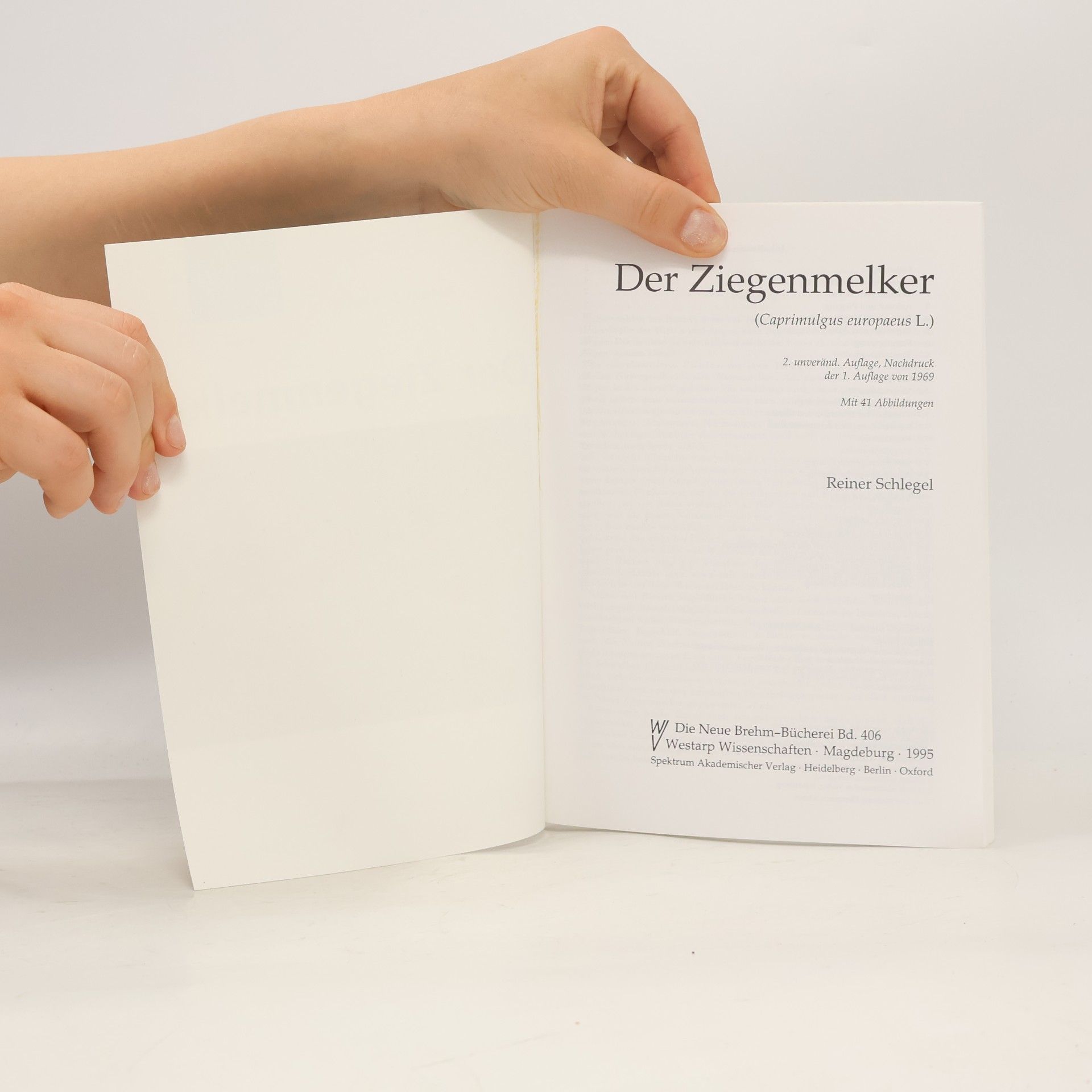 Reiner Schlegelmilich Die Neue Brehm-Bücherei: Der Ziegenmelker