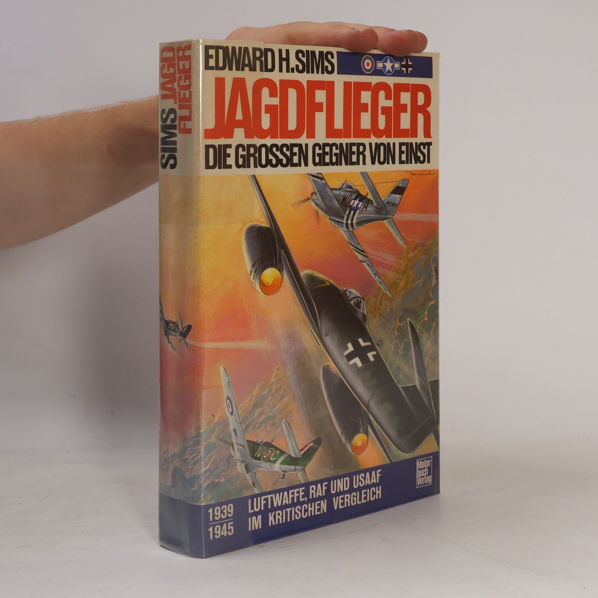 Jagdflieger - Die grossen Gegner von einst