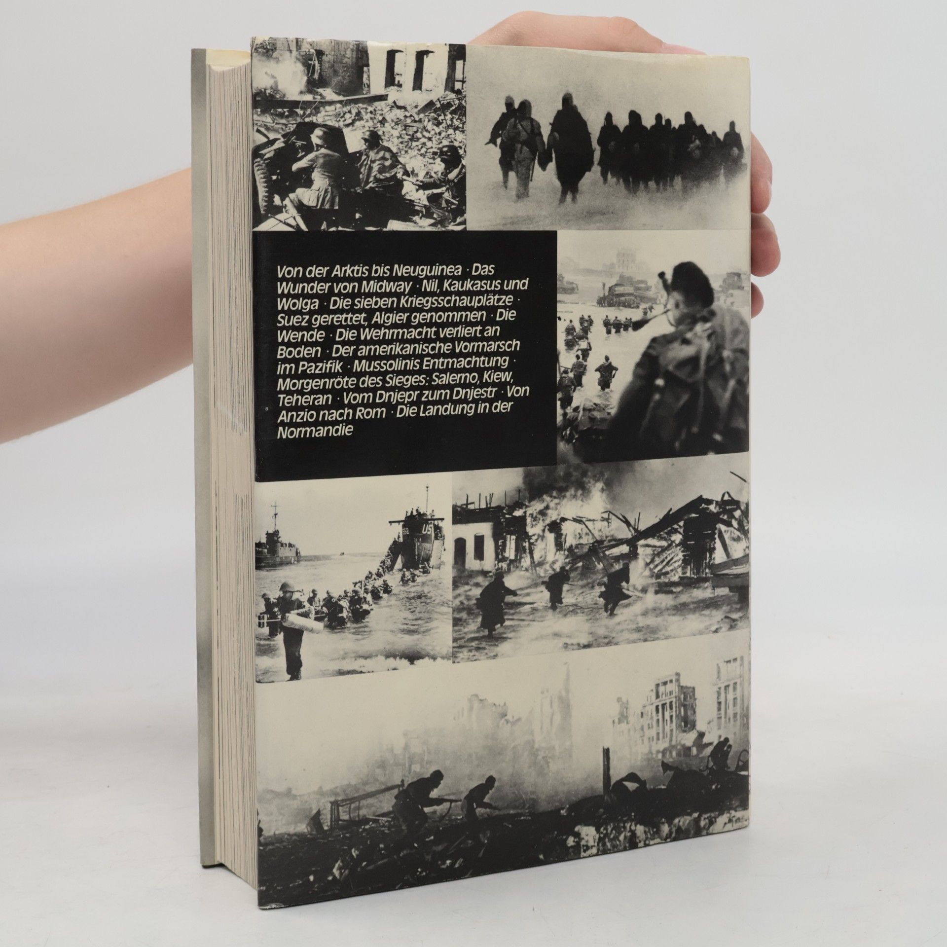 Raymond Cartier Der Zweite Weltkrieg. Band 2