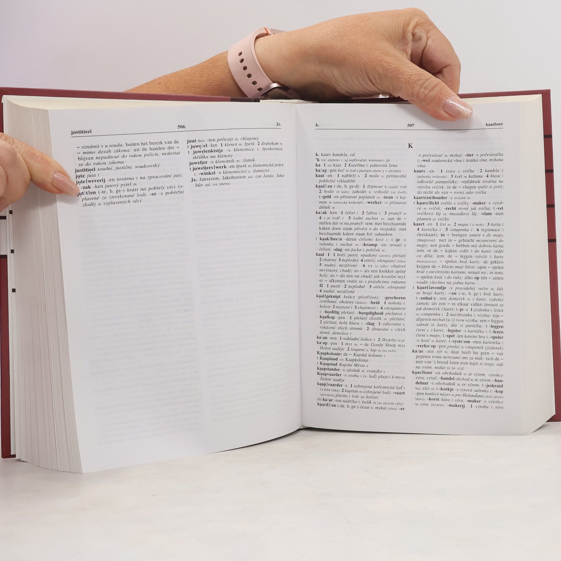 Hrnčířová Zdenka Nizozemsko-český slovník. Nederlands-Tsjechisch woordenboek