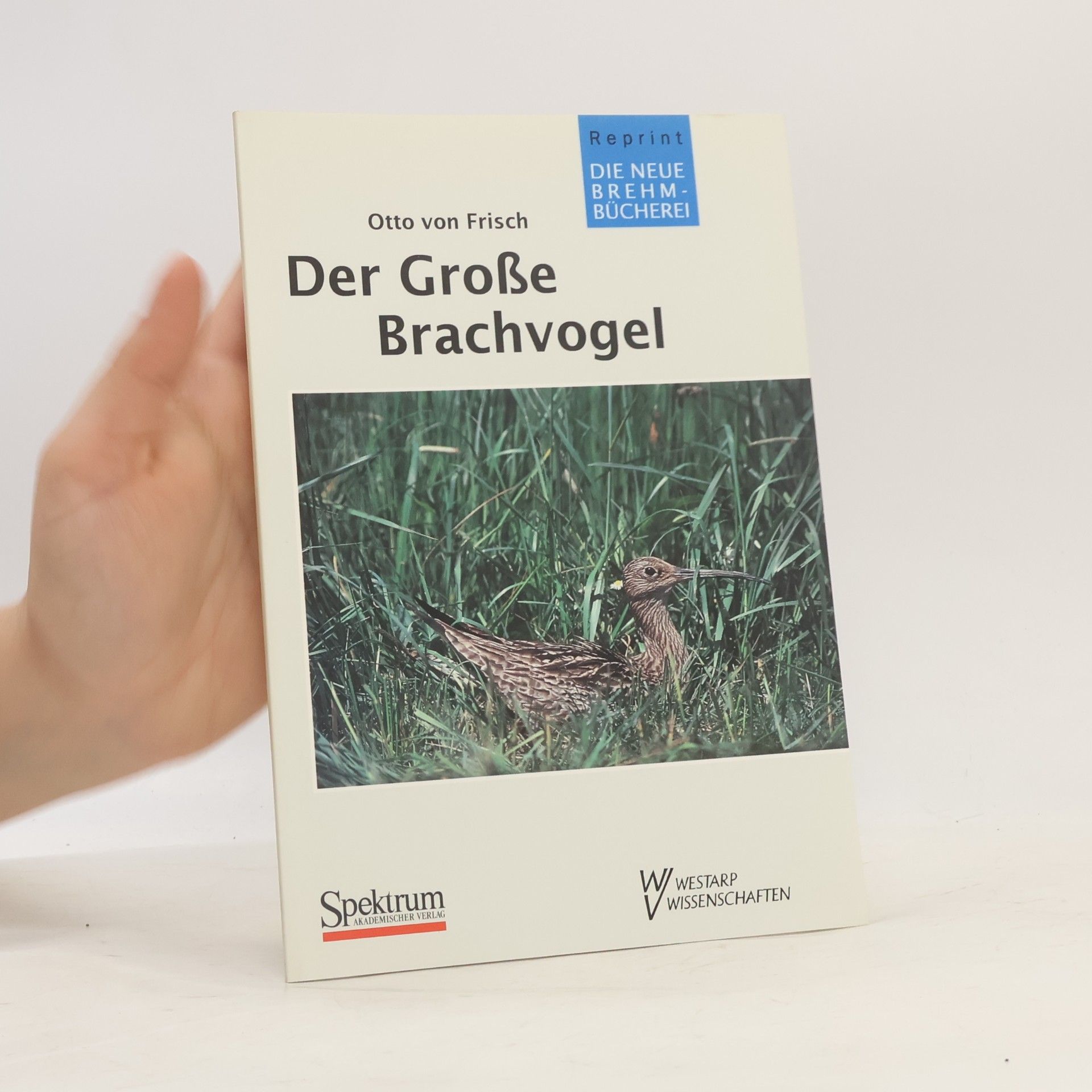 Otto von Frisch Der grosse Brachvogel