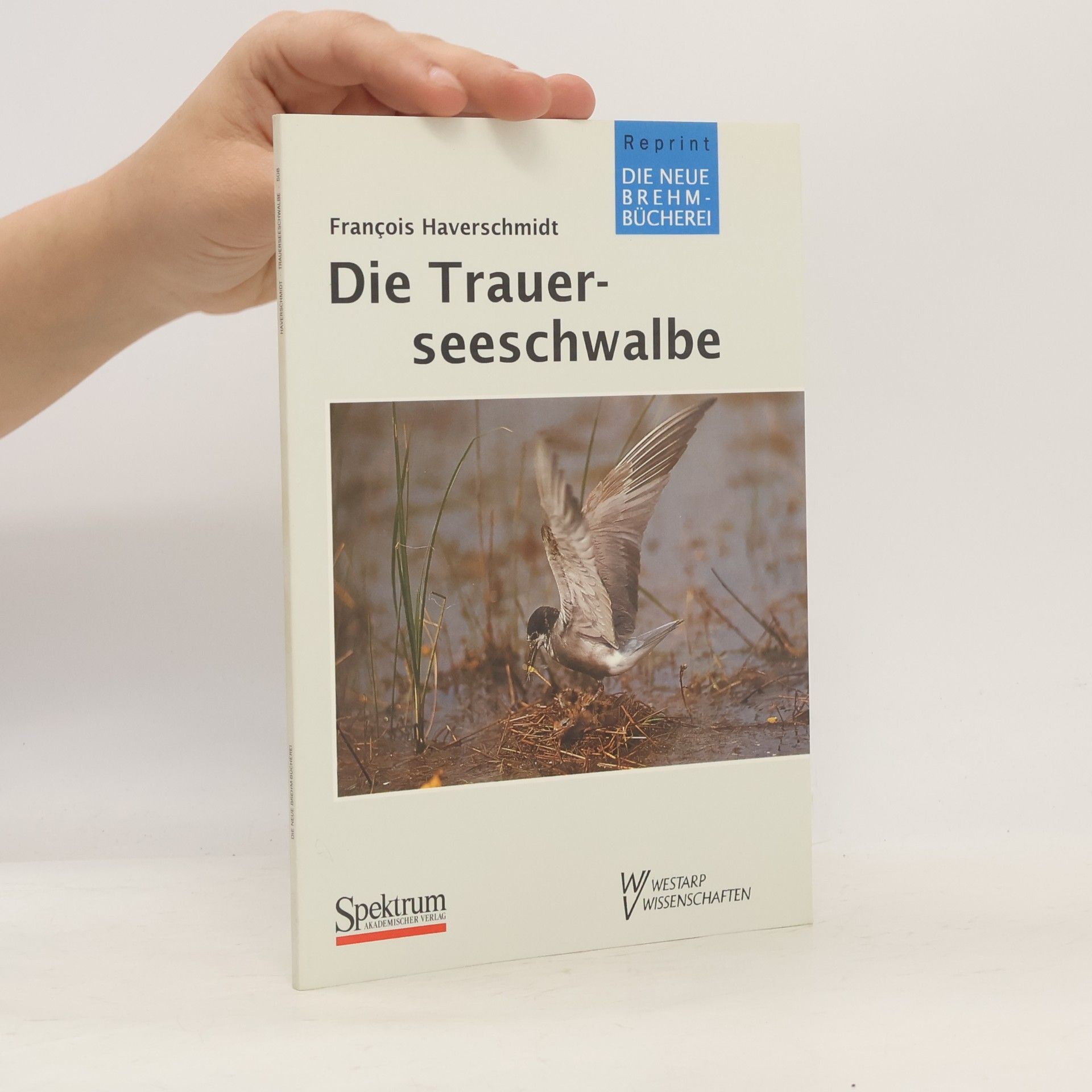 François Haverschmidt Die Trauerseeschwalbe