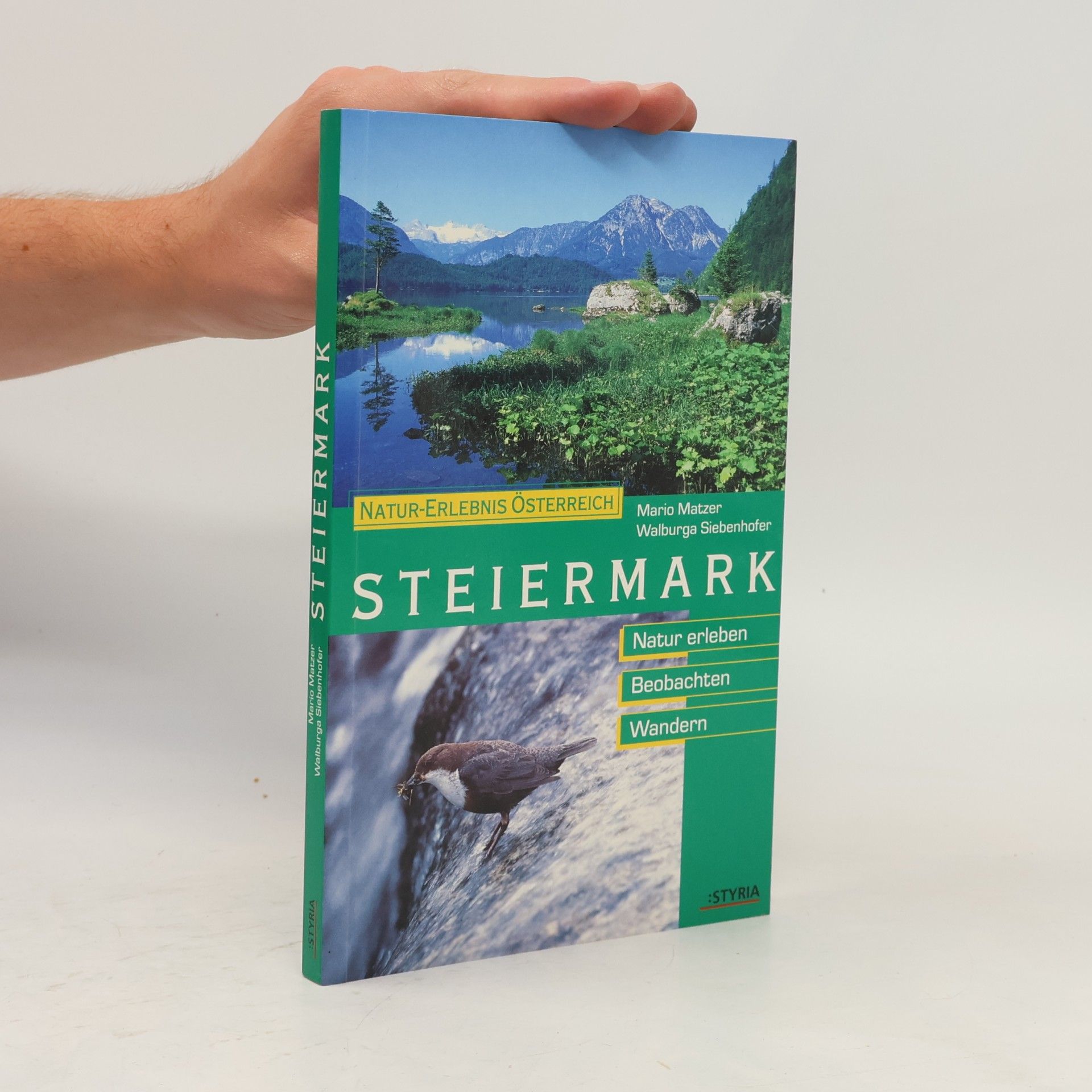 Mario Matzer Steiermark