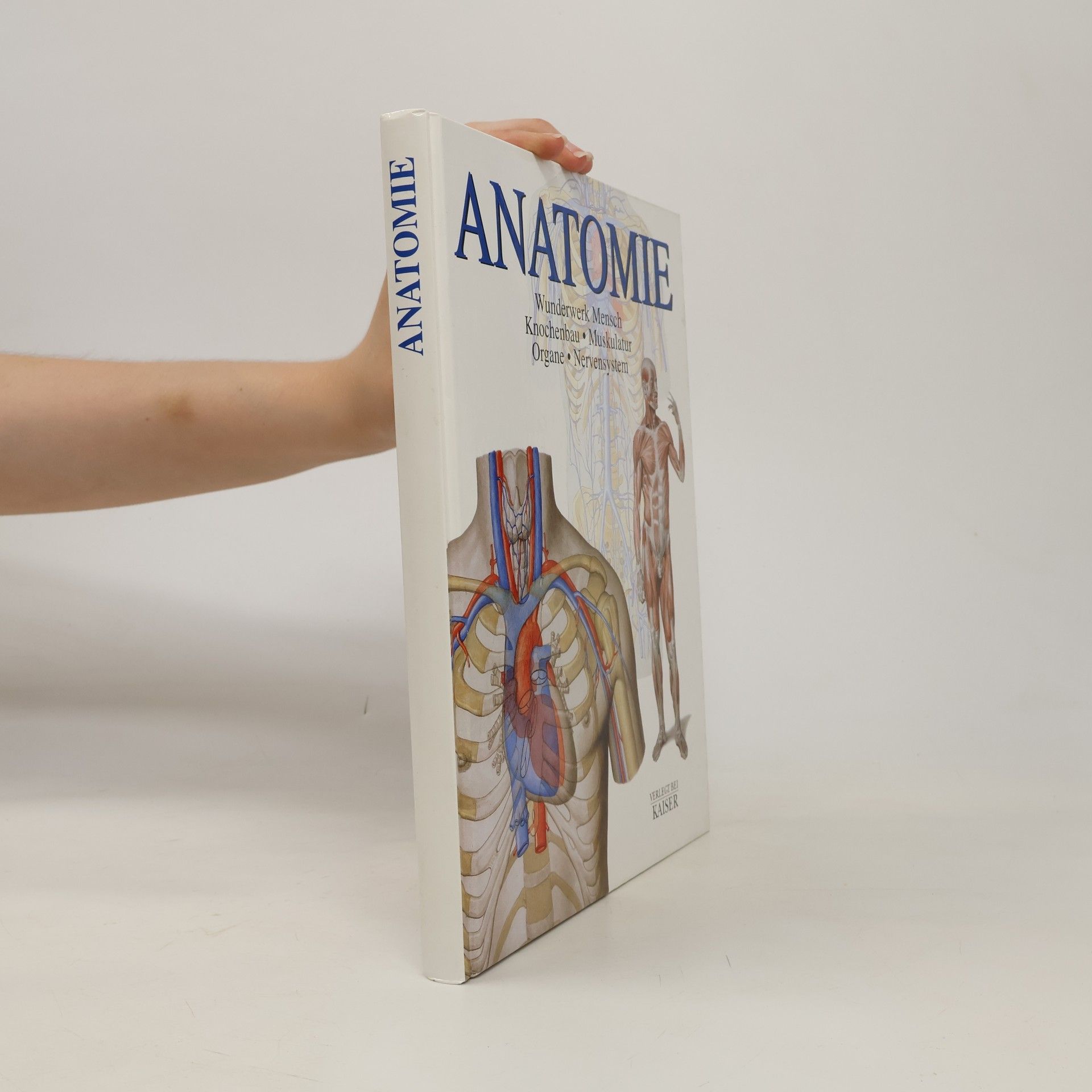 Carmen Schöninger Anatomie