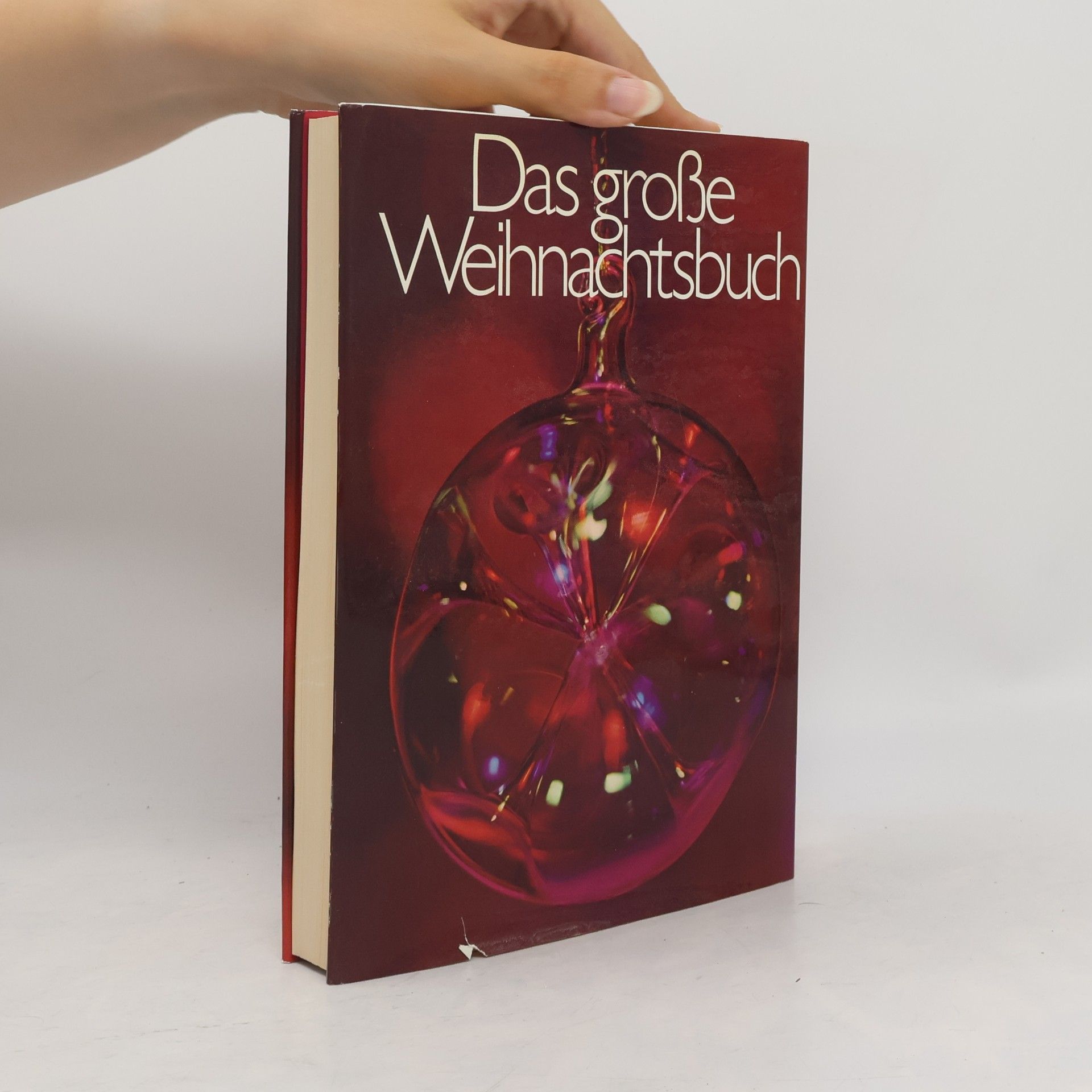 Autorenkollektiv Das große Weihnachtsbuch