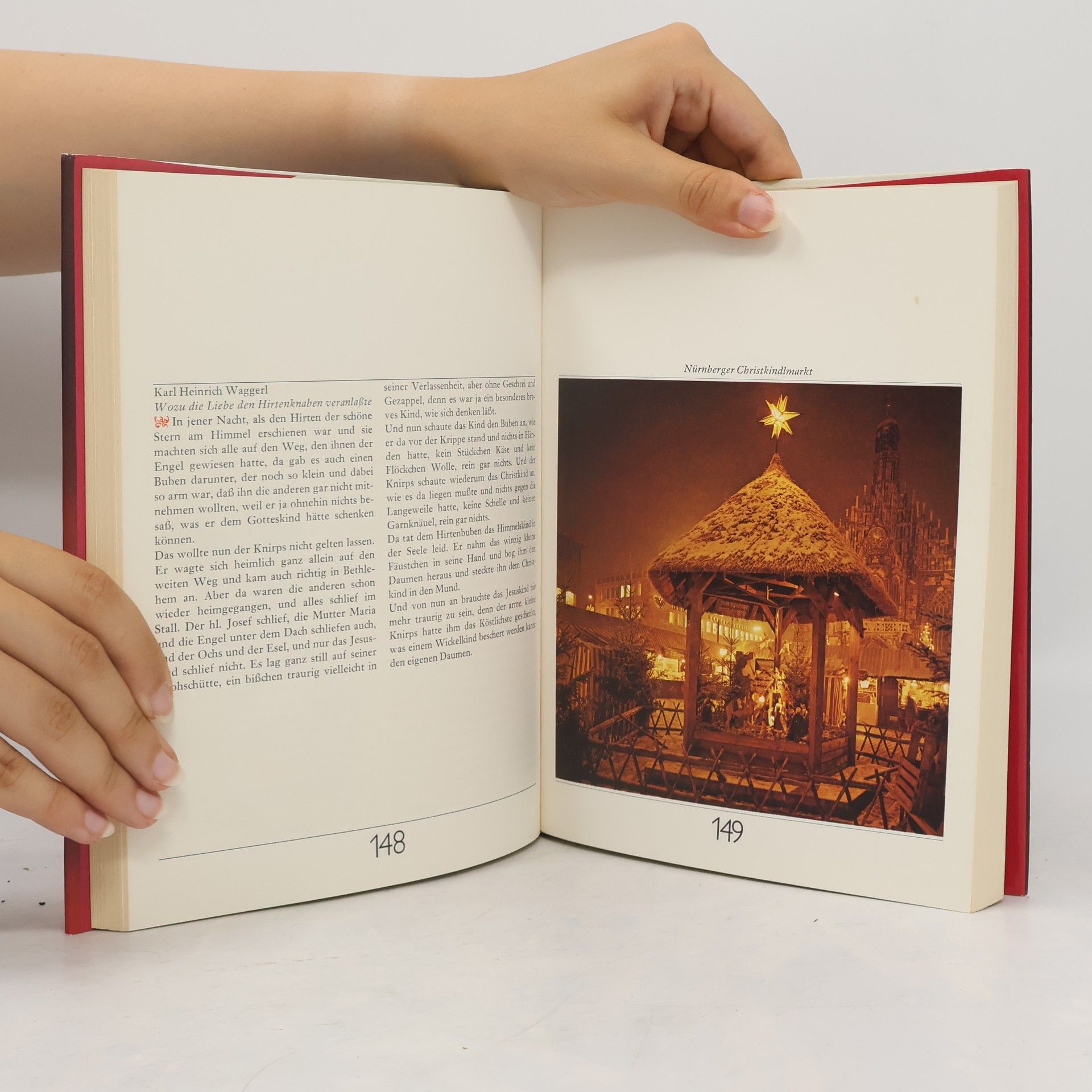 Autorenkollektiv Das große Weihnachtsbuch