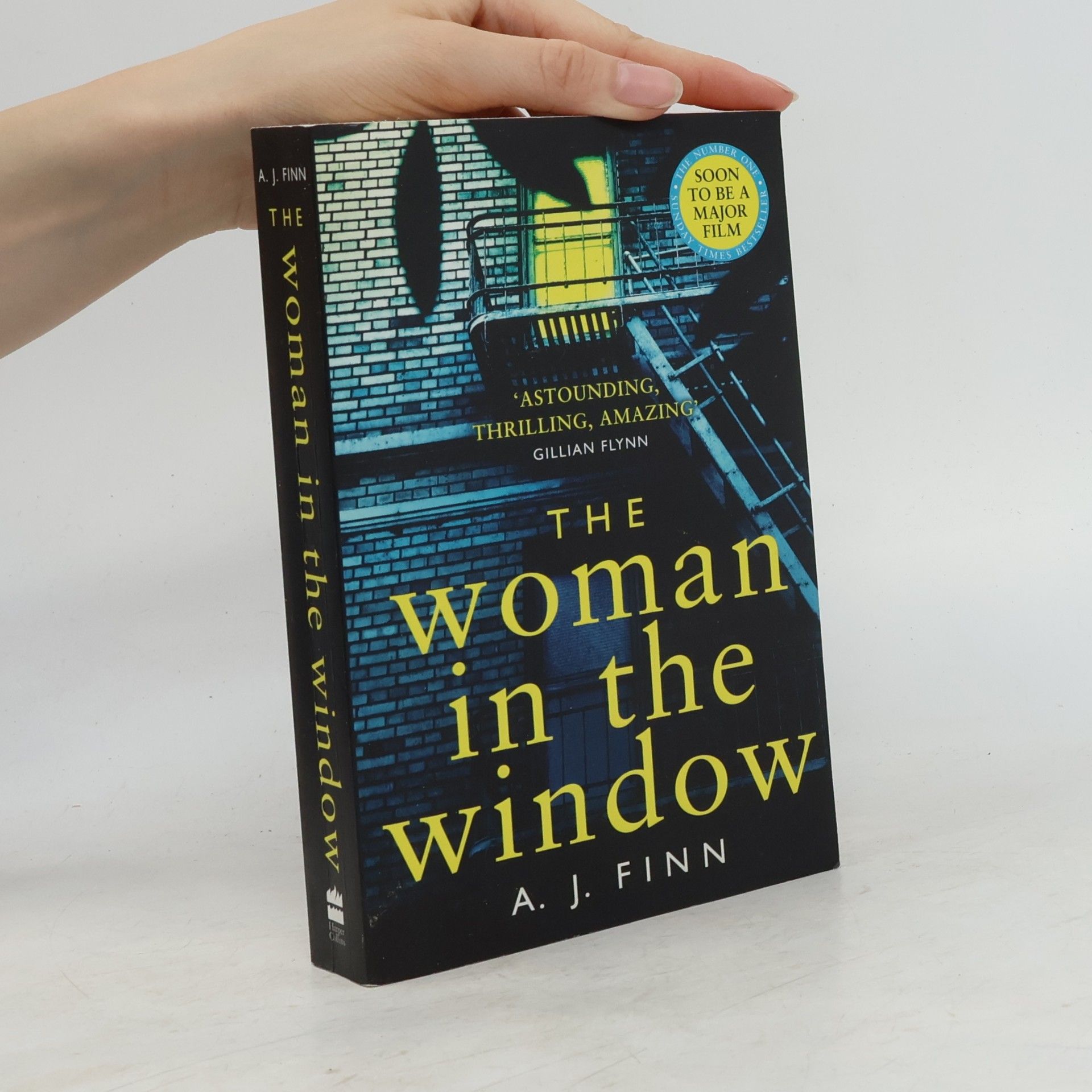 Daniel Mallory The woman in the window