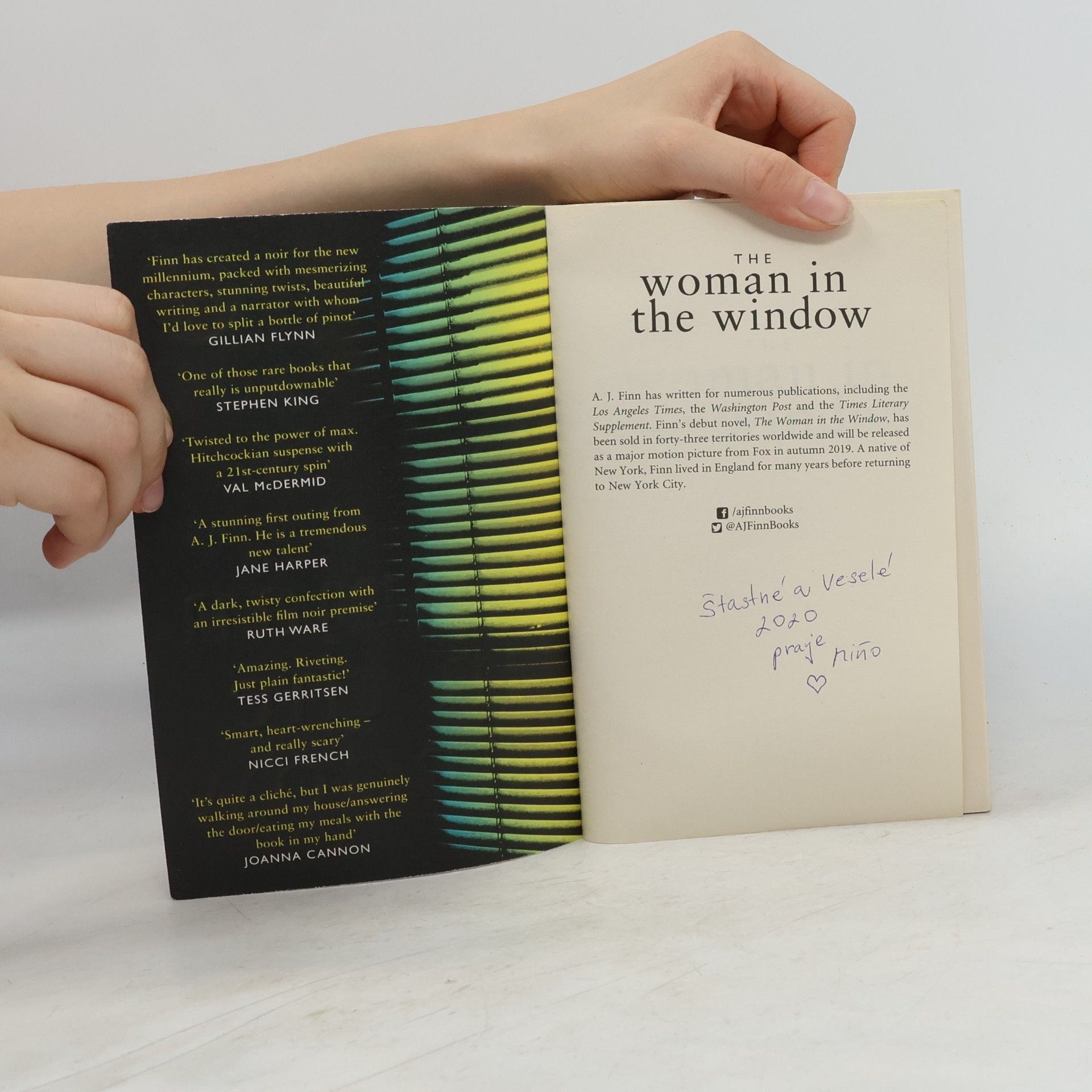 Daniel Mallory The woman in the window