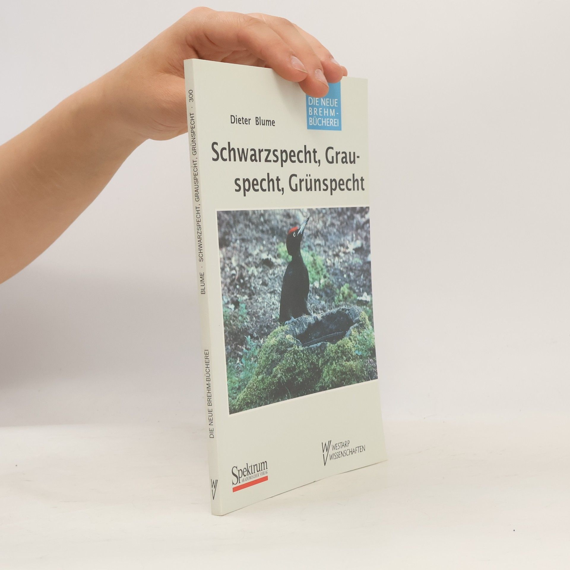 Dieter Blume Schwarzspecht, Grauspecht, Grünspecht