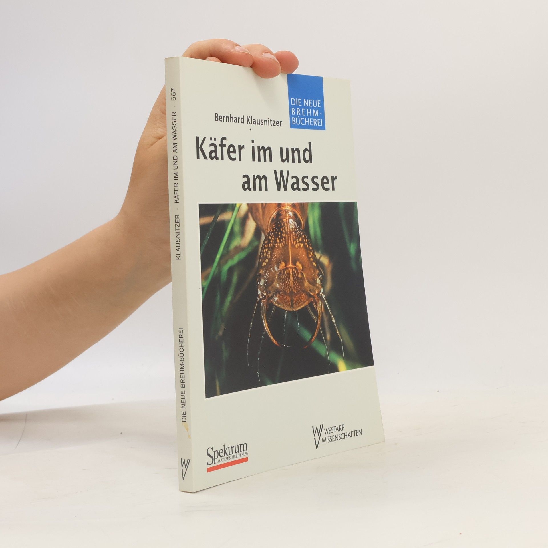 Bernhard Klausnitzer Käfer im und am Wasser