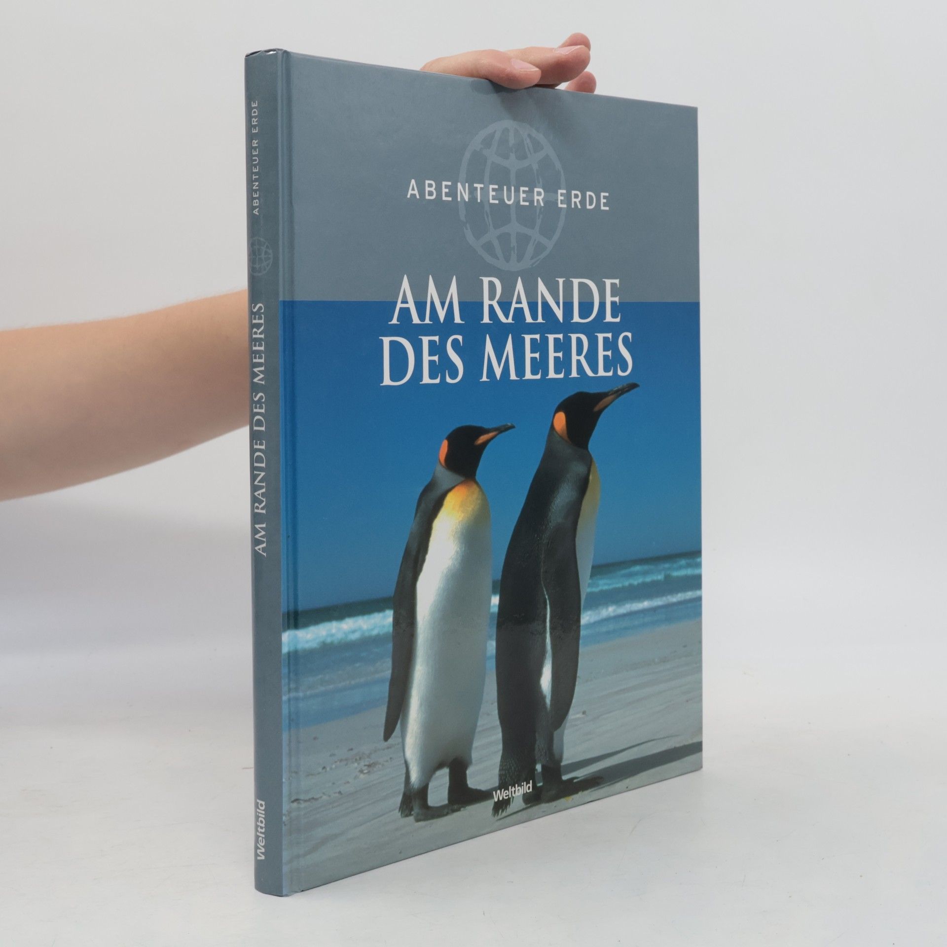 Kolektiv autorů Am Rande des Meeres
