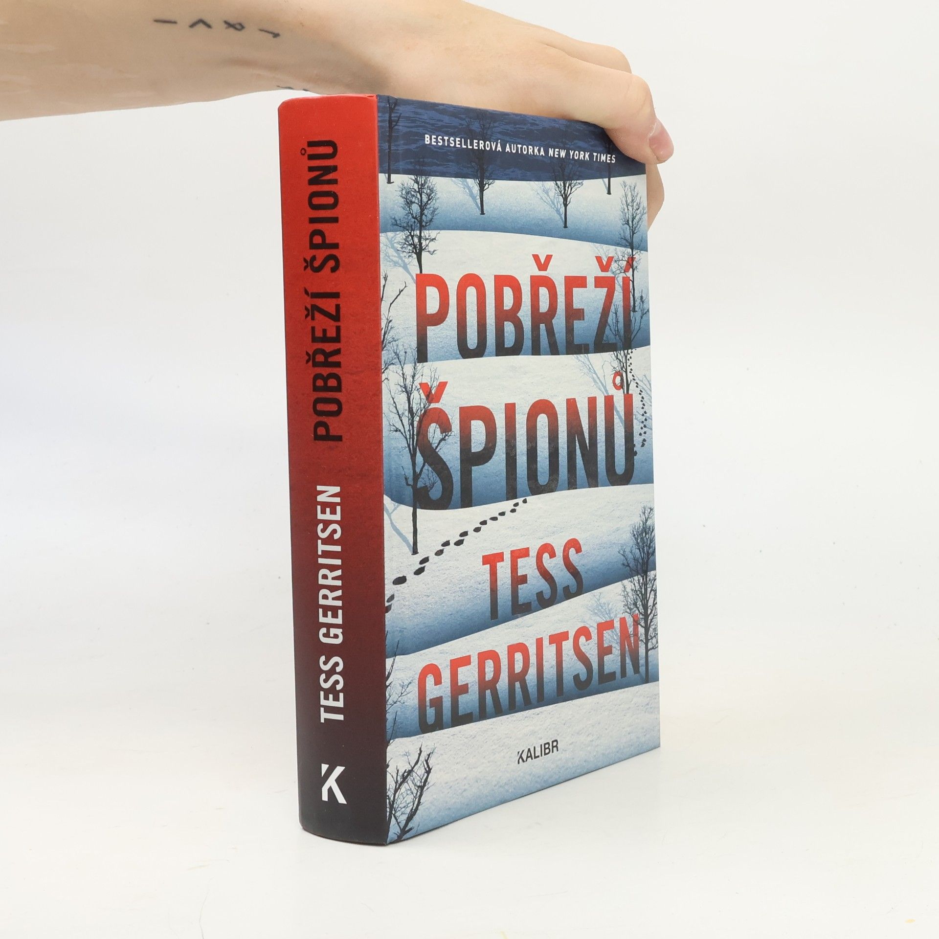 Tess Gerritsen Pobřeží špionů
