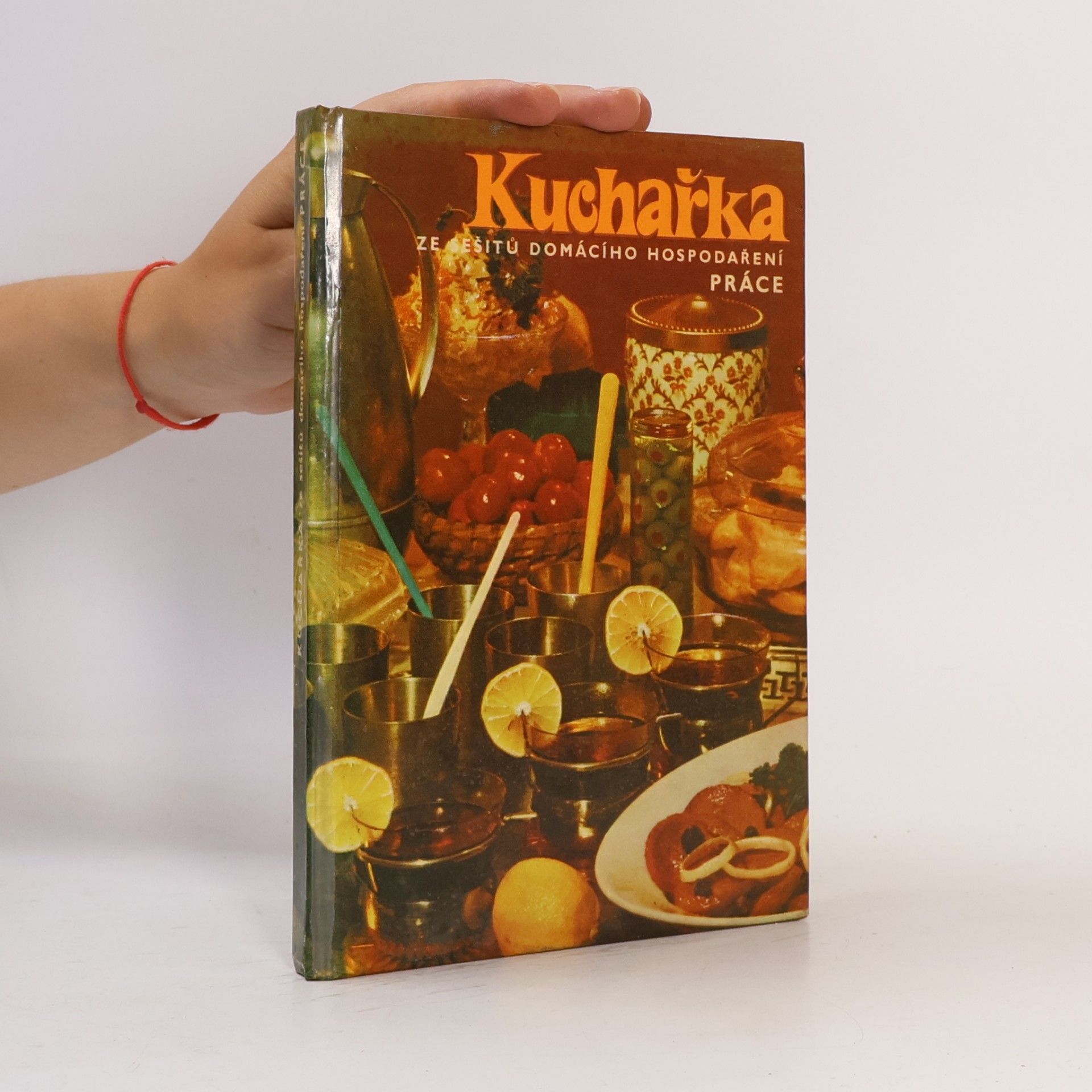 Joza Břízová Kuchařka ze sešitů domácího hospodaření