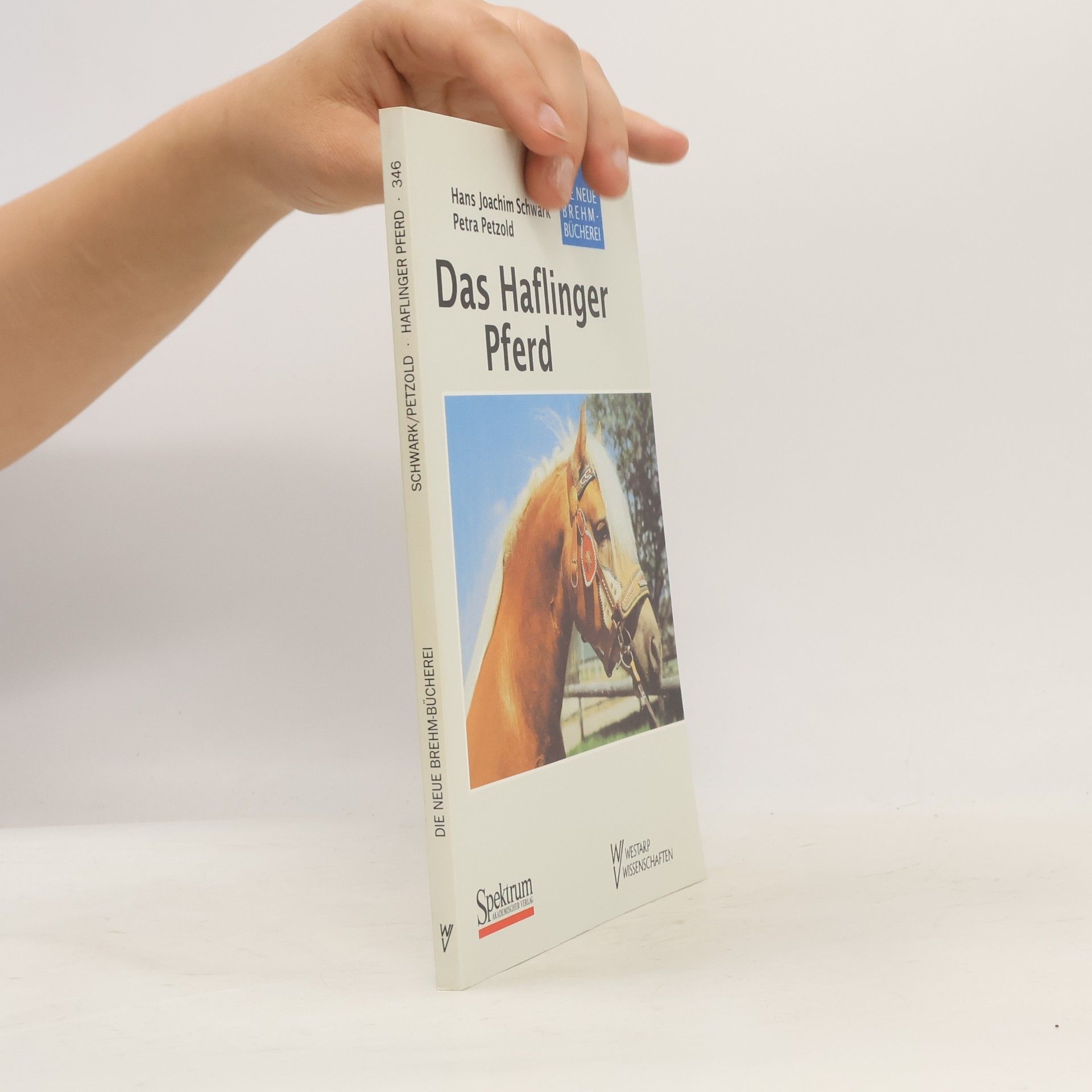 Petra Petzold Das Haflinger Pferd
