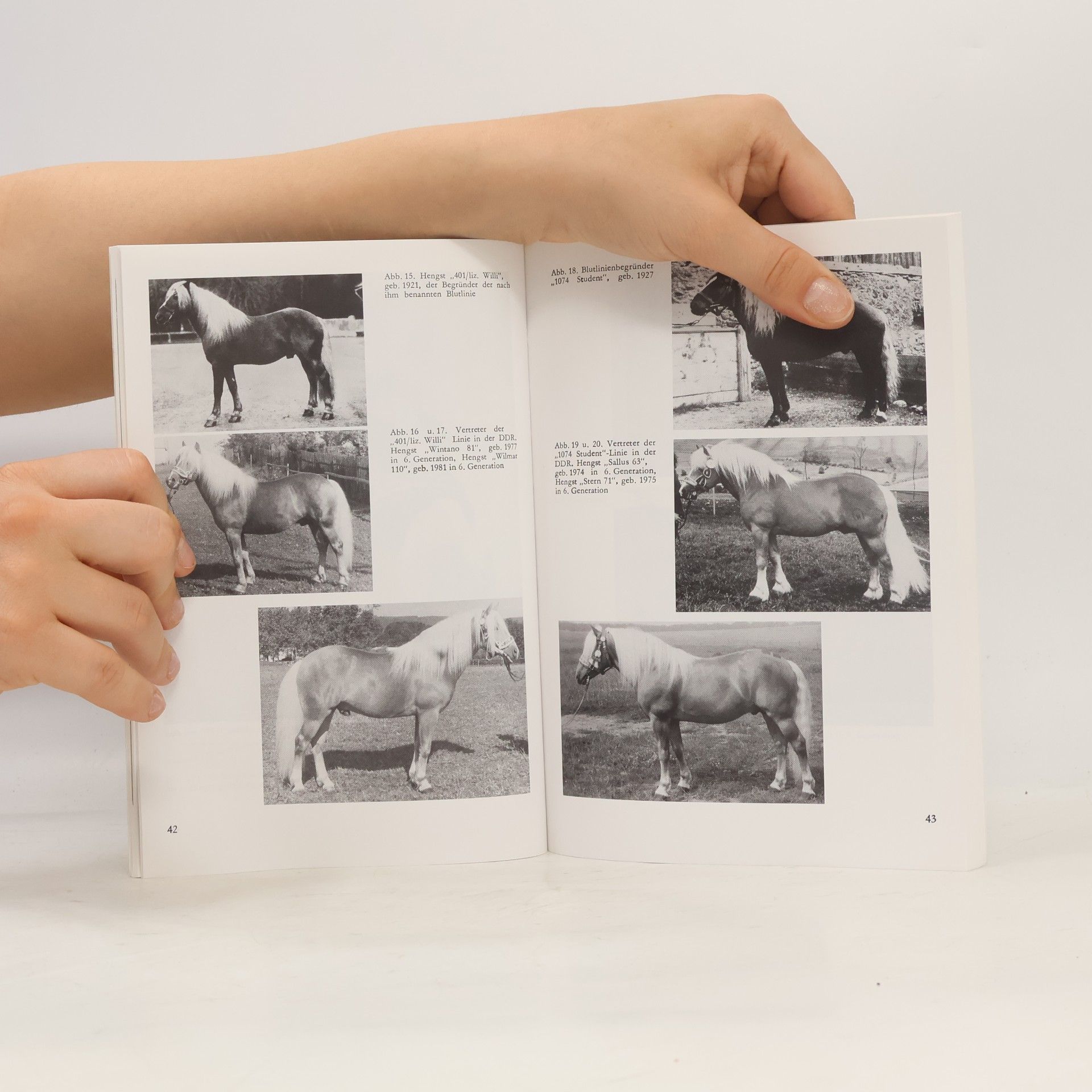 Hans Joachim Schwark Das Haflinger Pferd