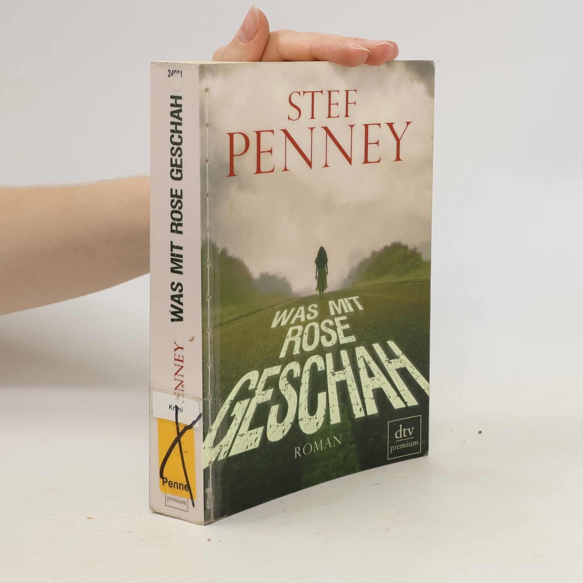 Stef Penney Was mit Rose geschah