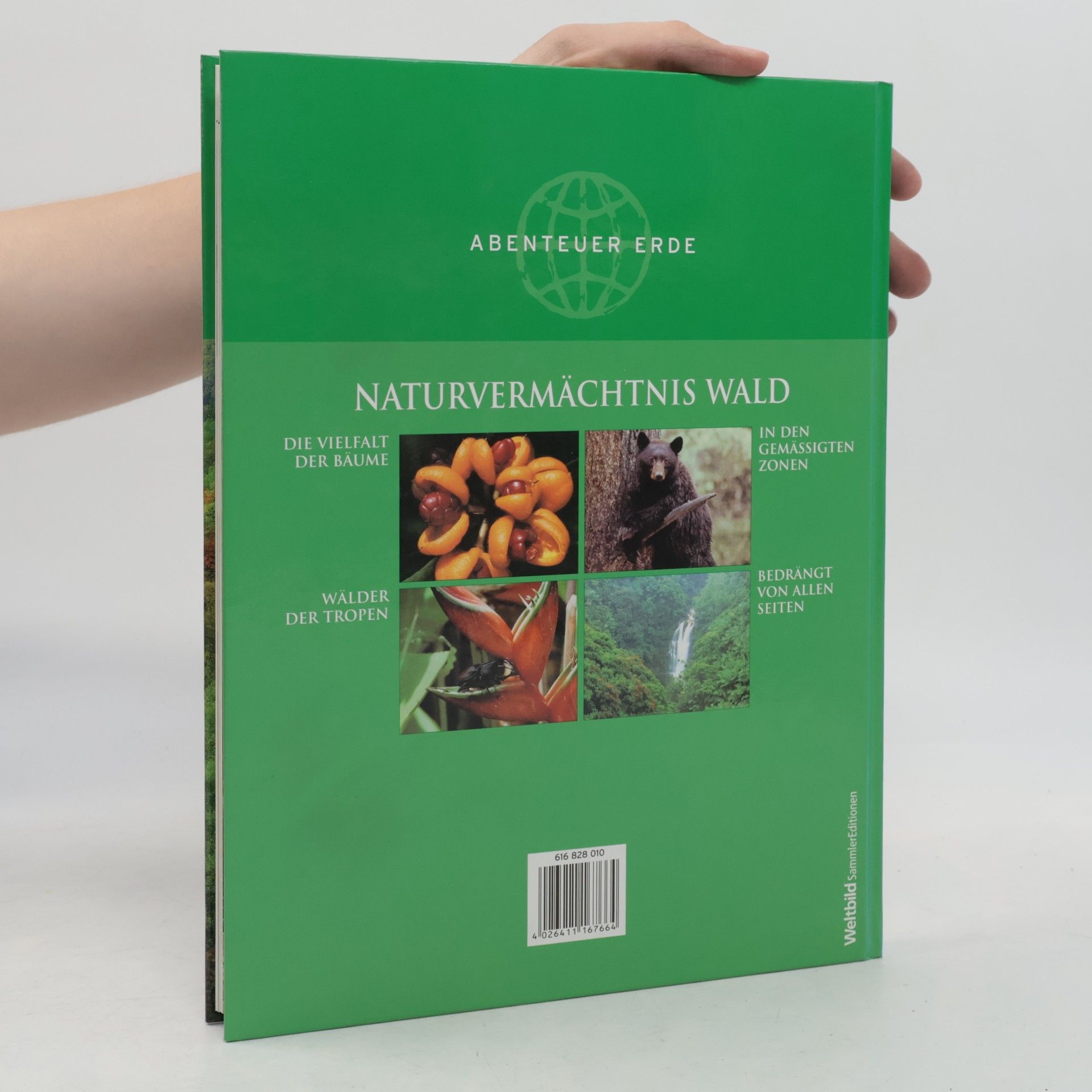 Annegret Diener-Steinherr Naturvermächtnis Wald