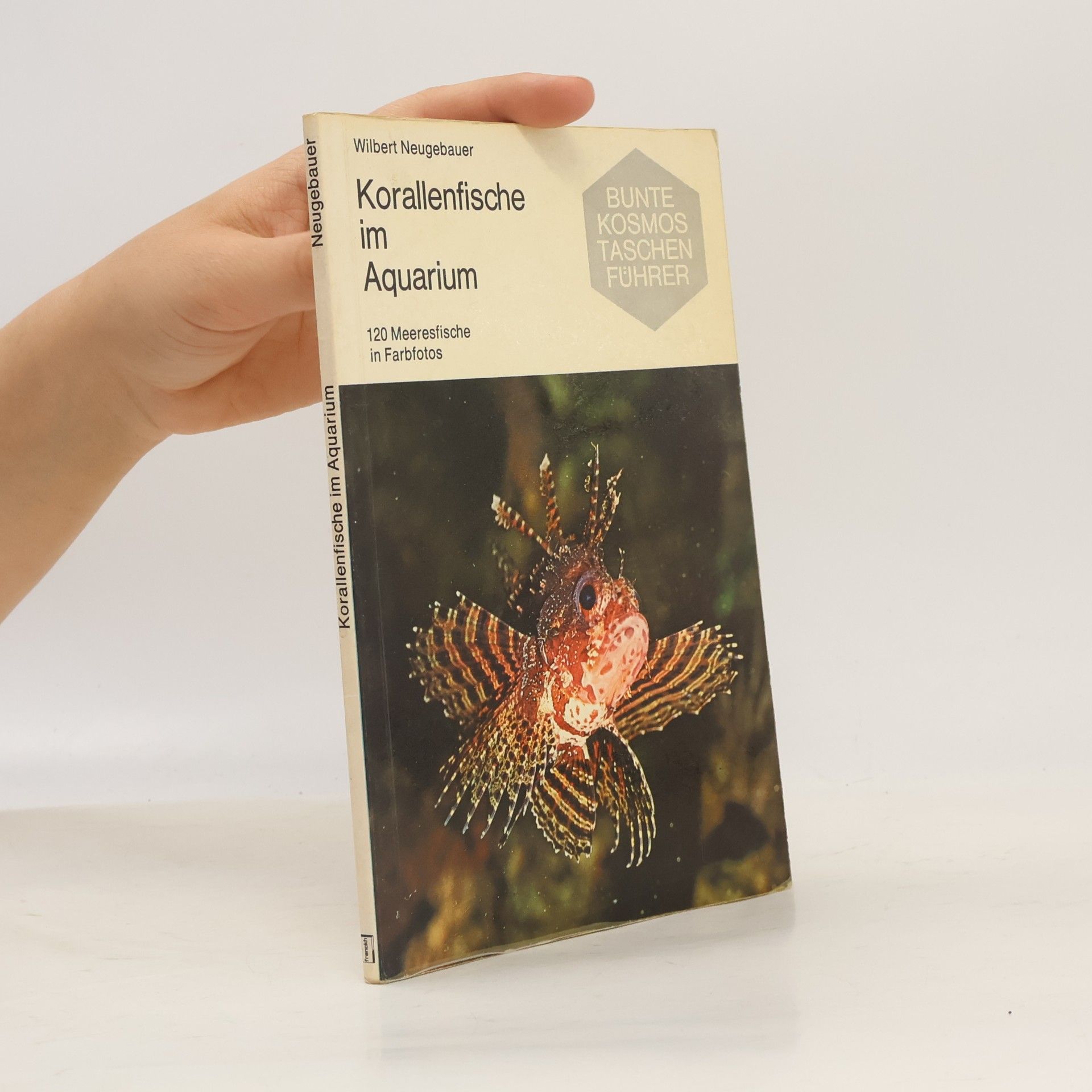 Wilbert Neugebauer Korallenfische im Aquarium