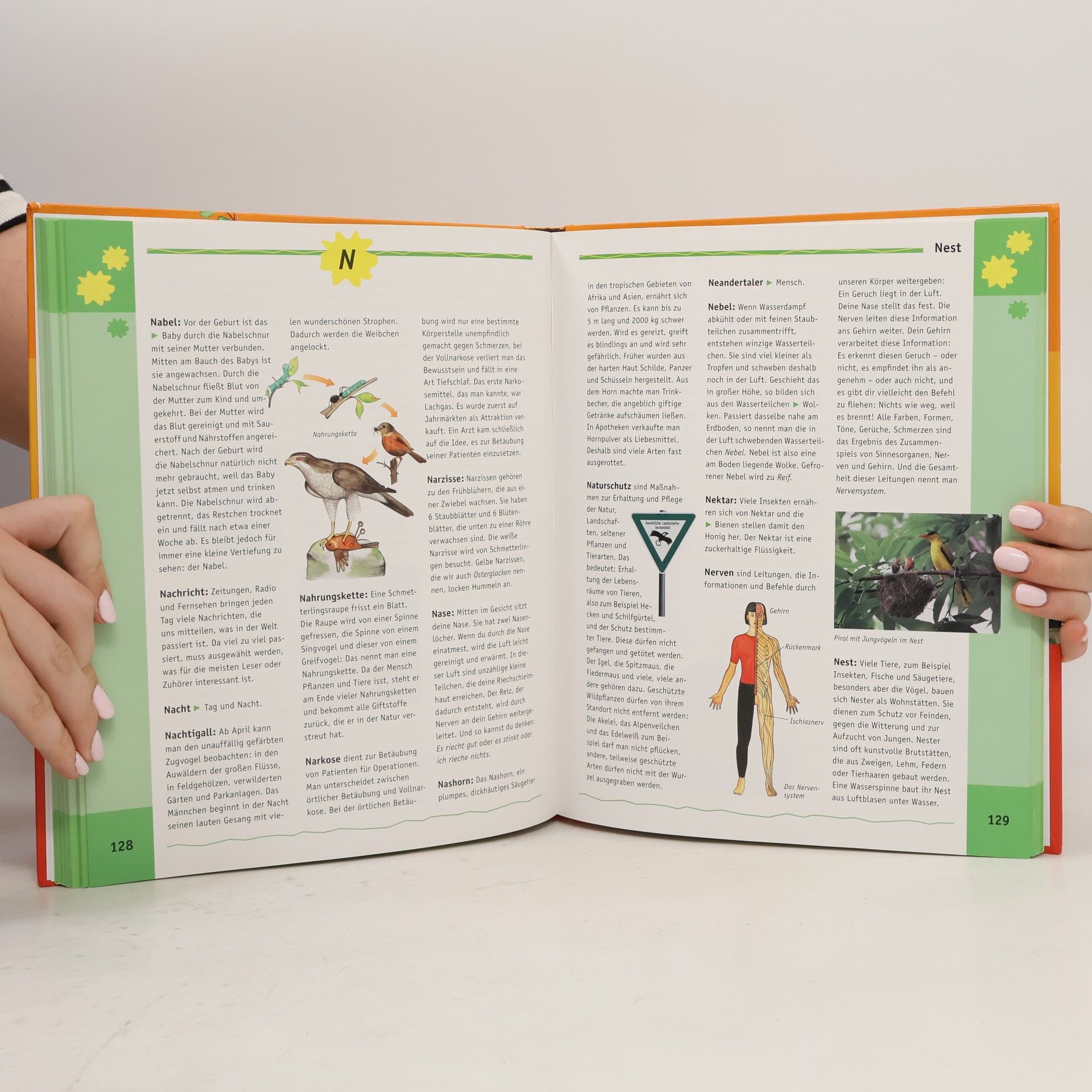 Autorenkollektiv Das große Kínderlexíkon