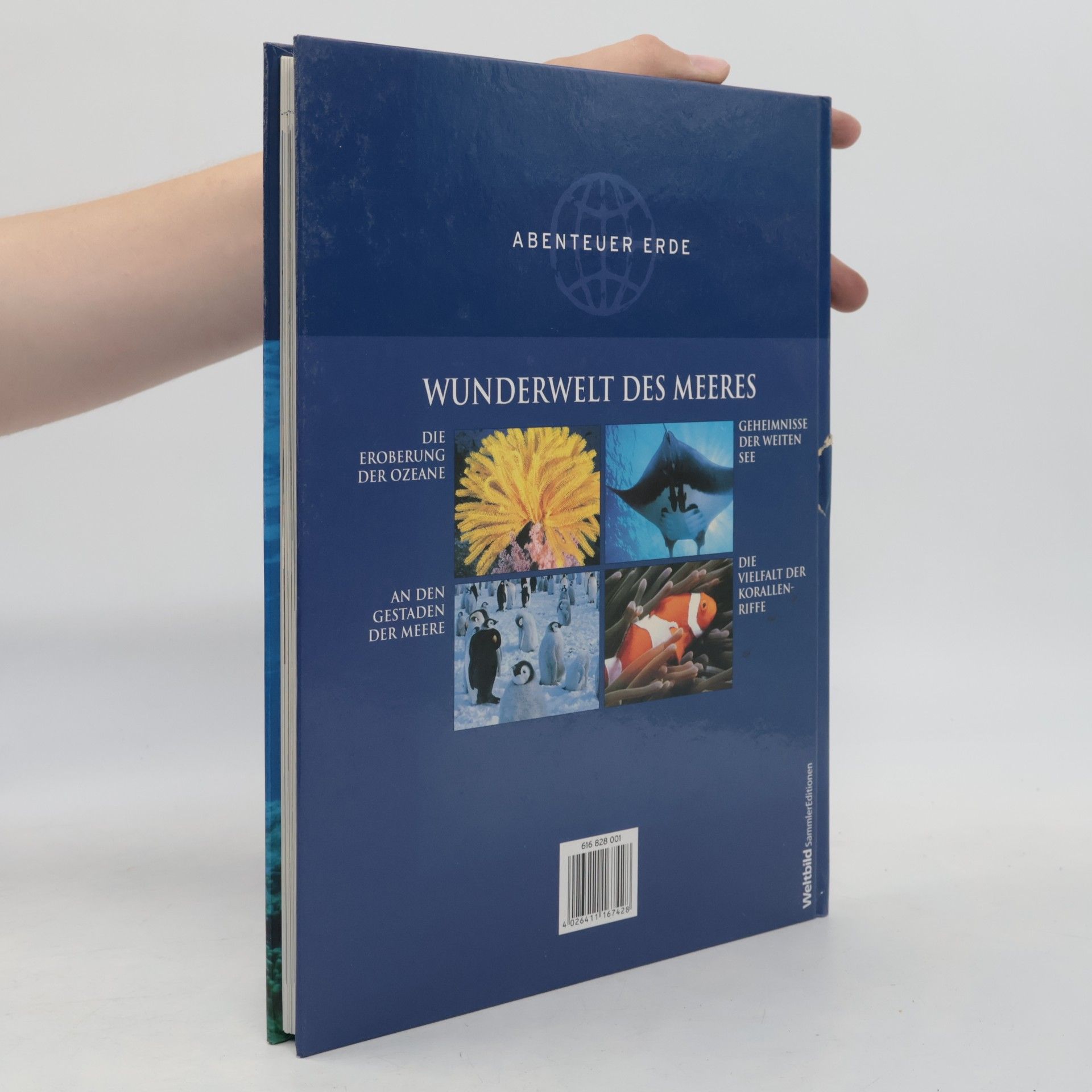 Autorenkollektiv Abenteuer Erde. Wunderwelt des Meeres