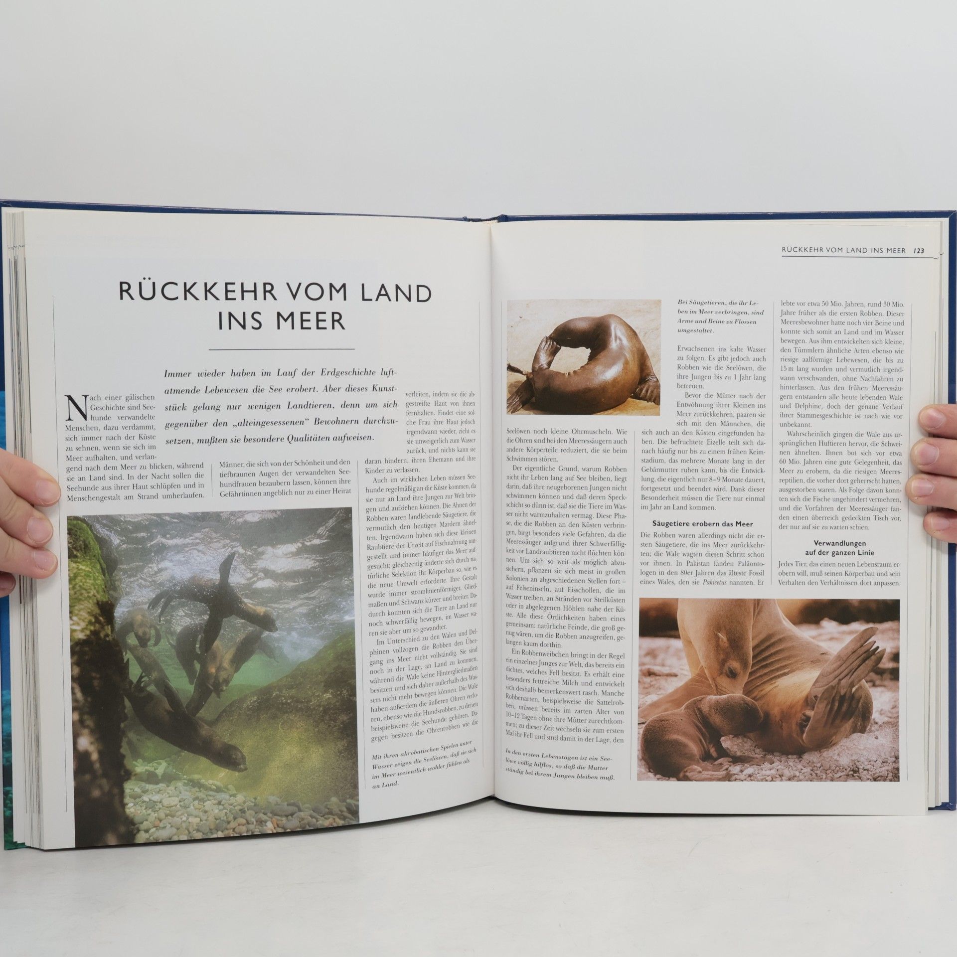 Autorenkollektiv Abenteuer Erde. Wunderwelt des Meeres