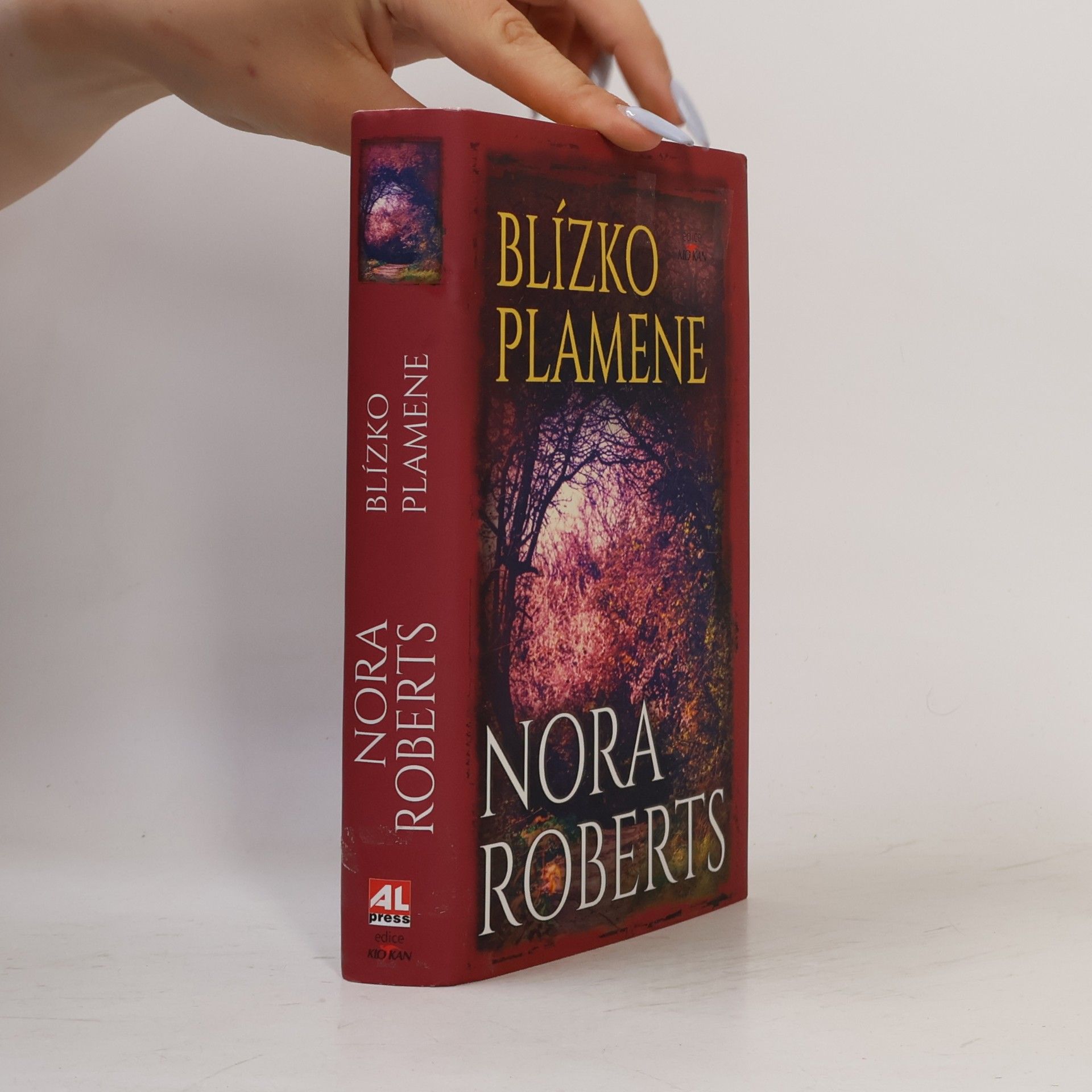 Nora Roberts Blízko plamene
