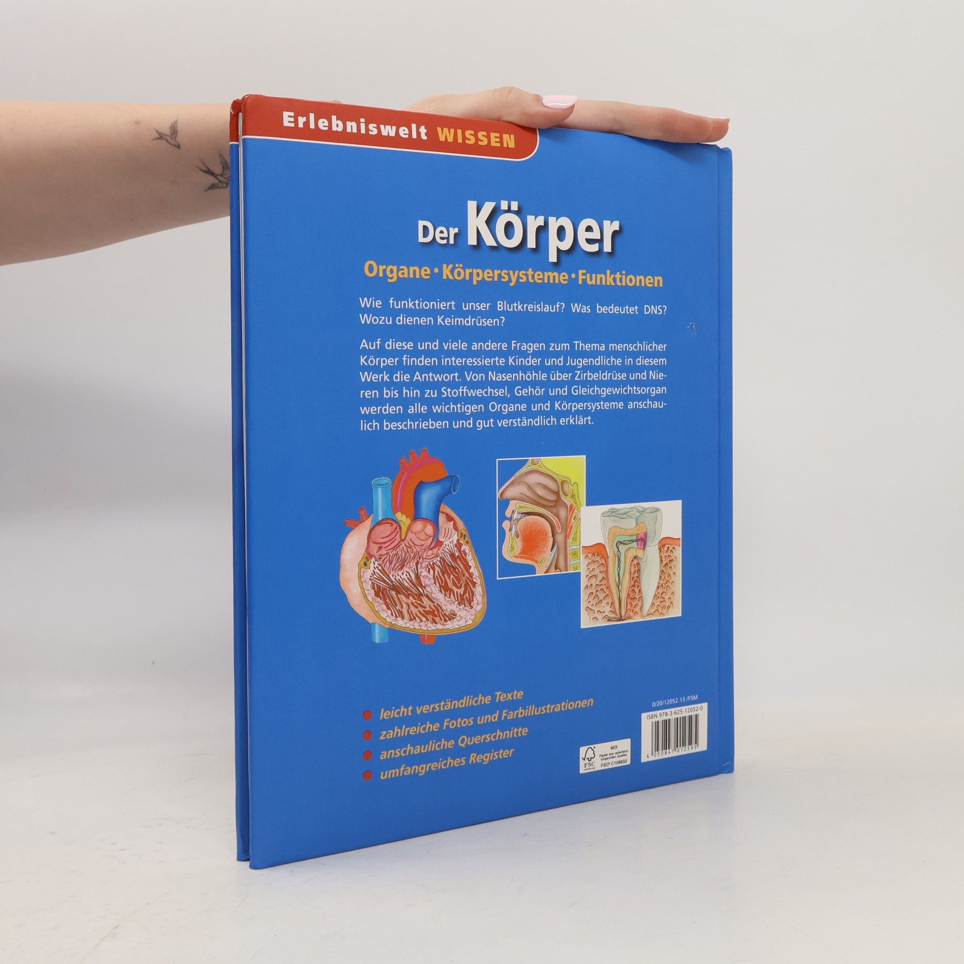 Collectif d'auteurs Der Körper