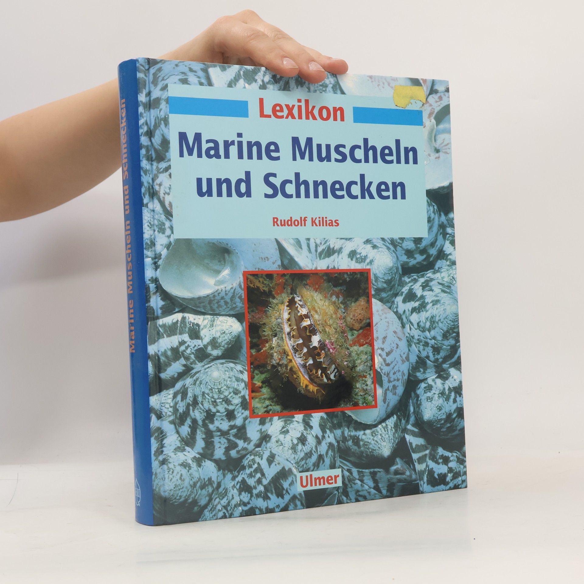 Rudolf Kilias Lexikon marine Muscheln und Schnecken