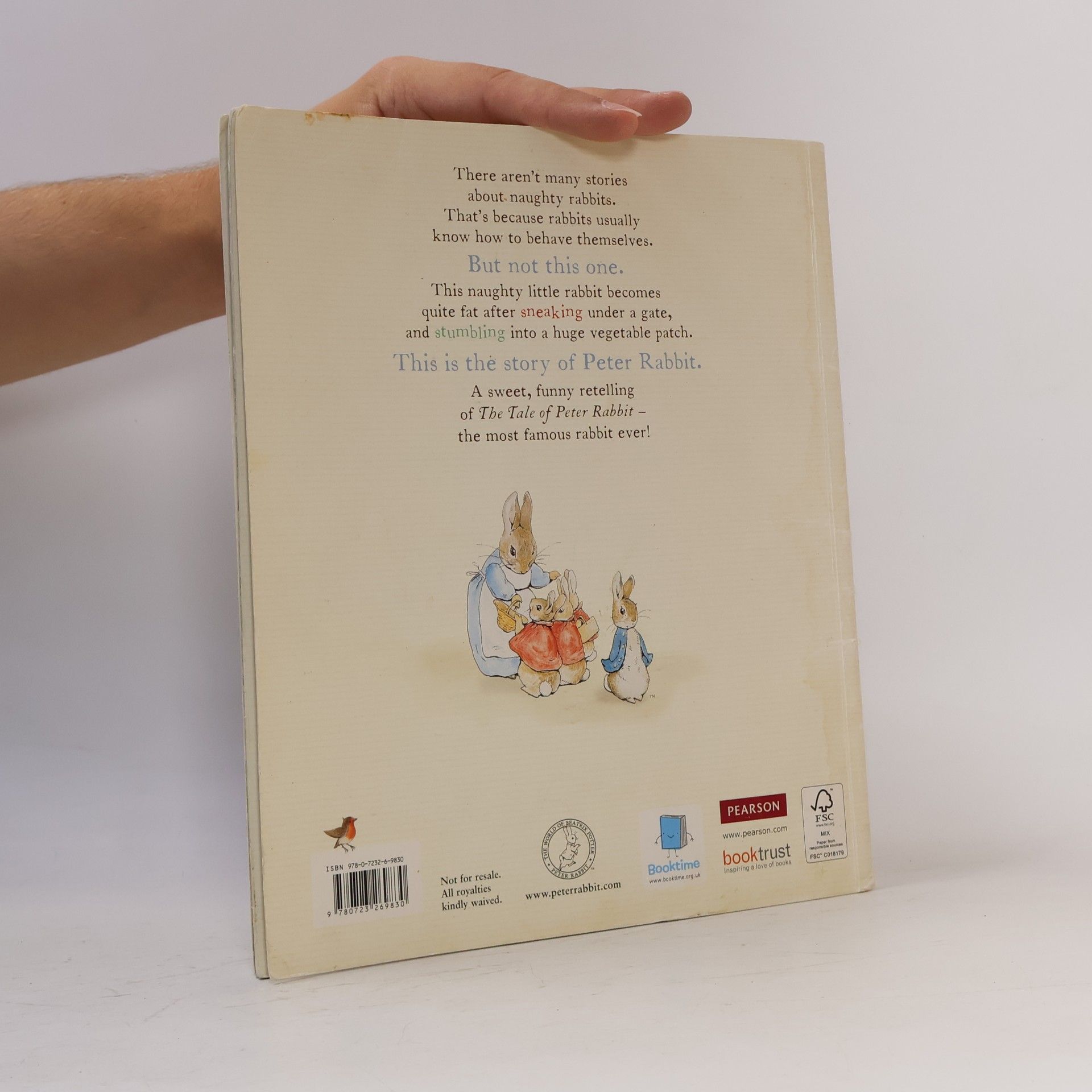 Beatrix Potter The Tale of a Naughty Little Rabbit