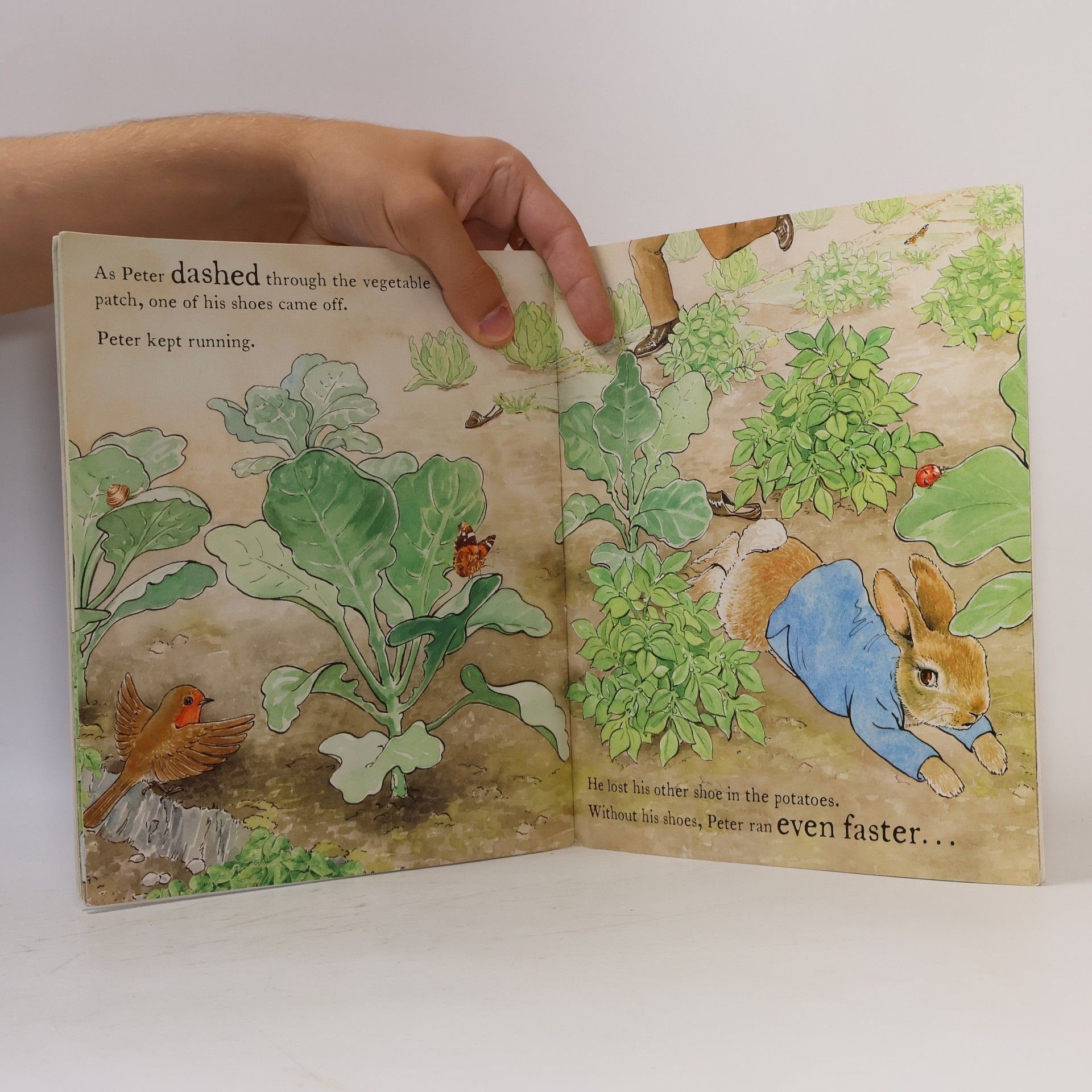 Beatrix Potter The Tale of a Naughty Little Rabbit