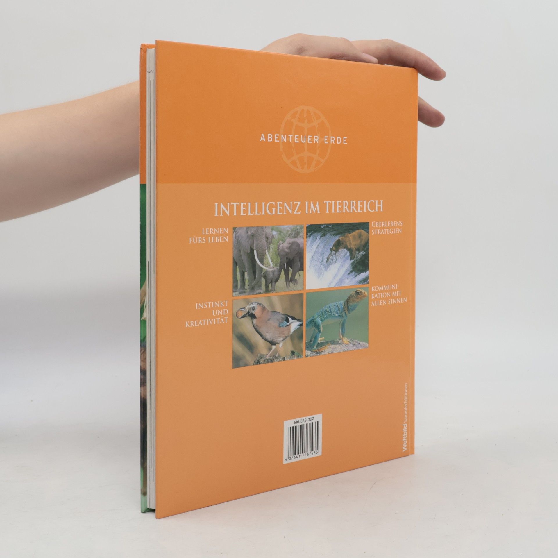 Various authors Intelligenz im Tierreich