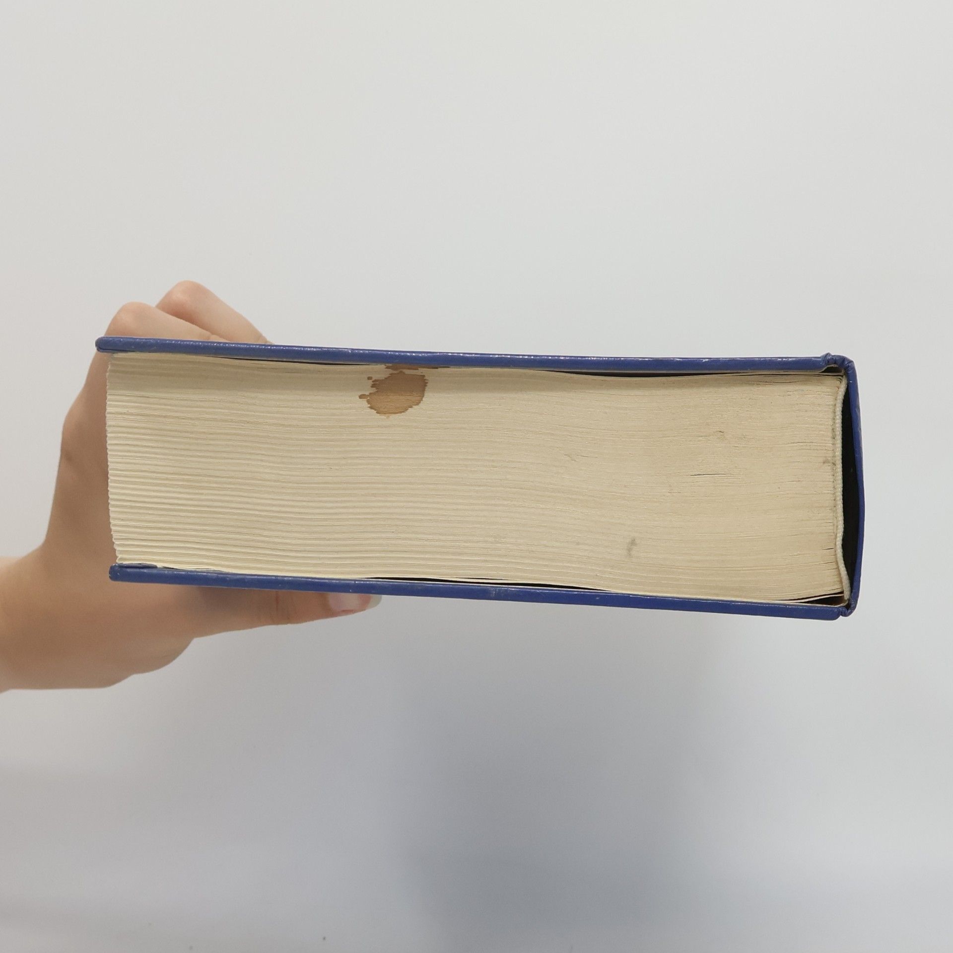 Auteurscollectief Das Neue grosse Lexikon in Farbe A-Z