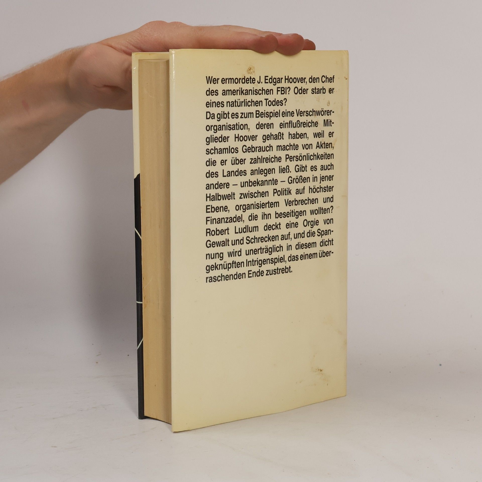 Robert Ludlum Das Kastler Manuskript