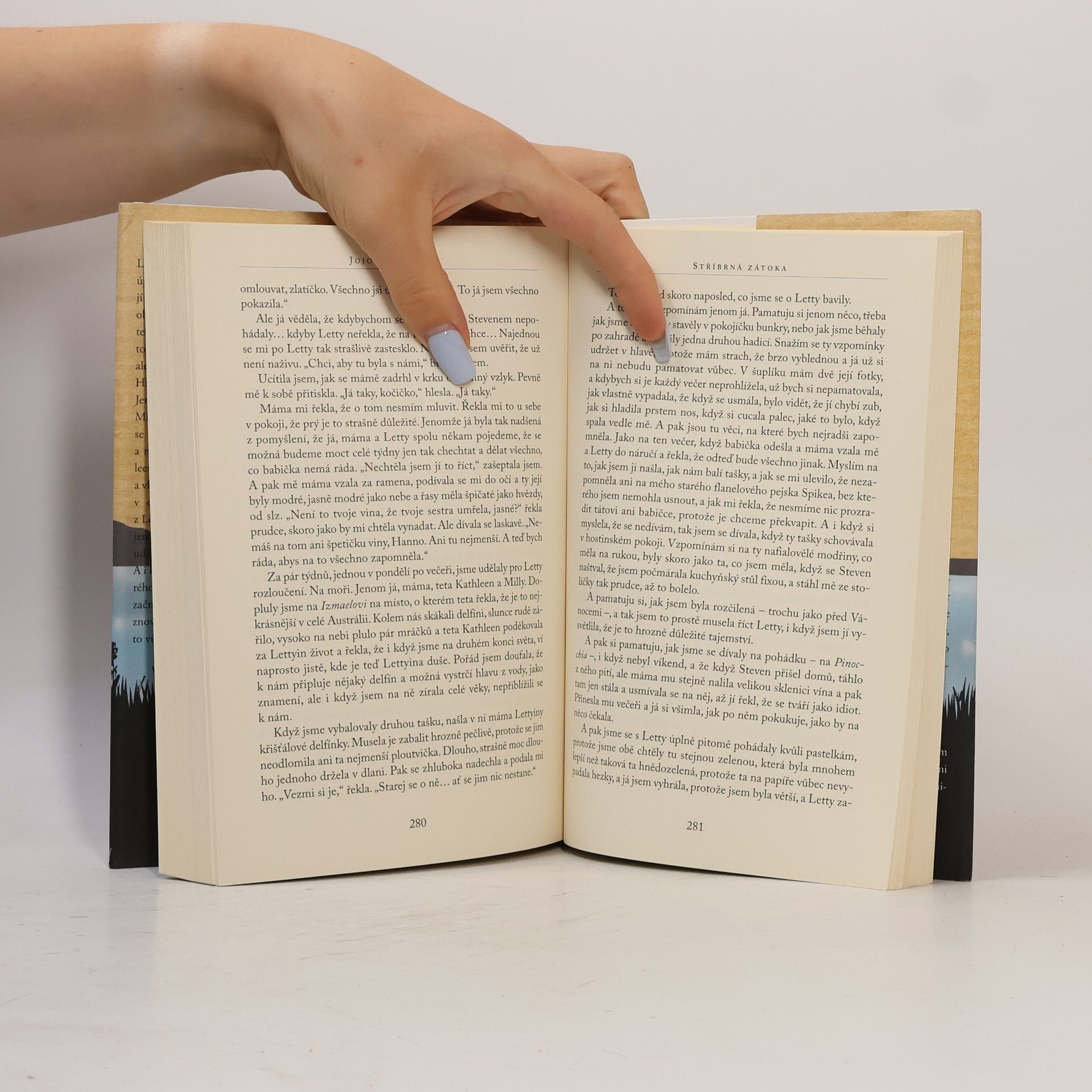 Jojo Moyes Stříbrná zátoka