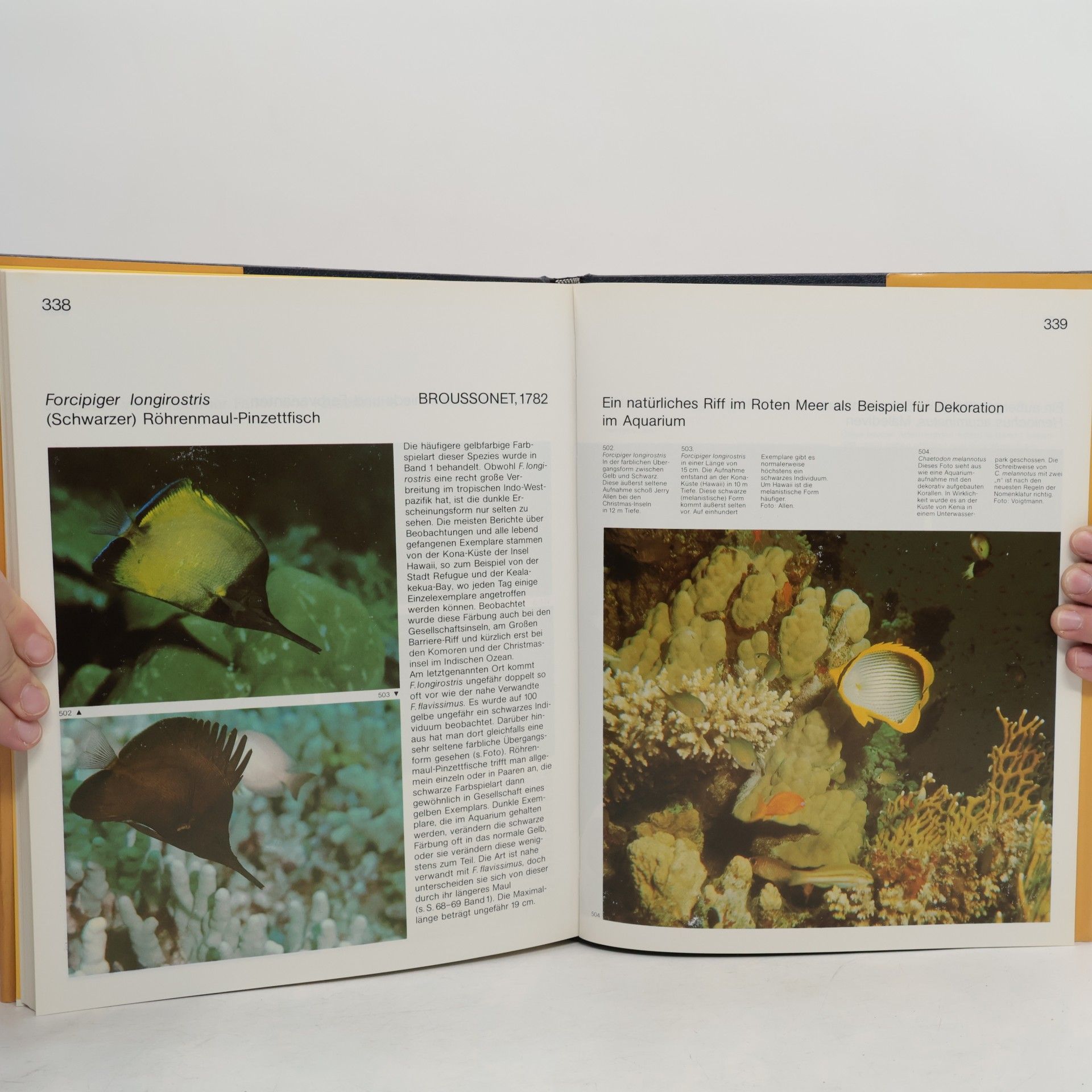 Gerald R. Allen Falter- und Kaiserfische