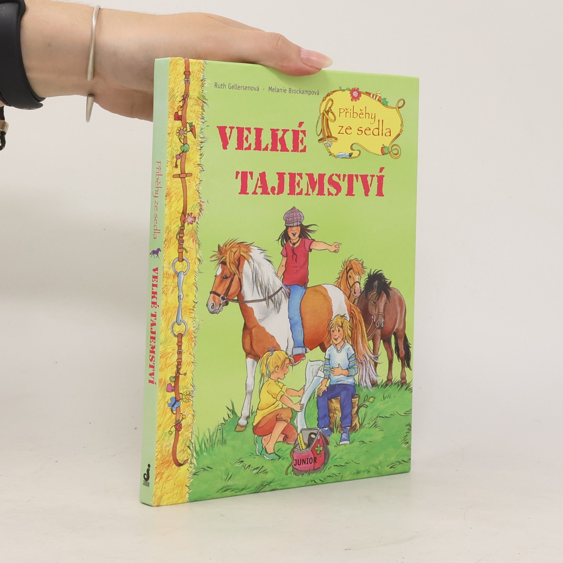 Ruth Gellersen Příběhy ze sedla. Velké tajemství