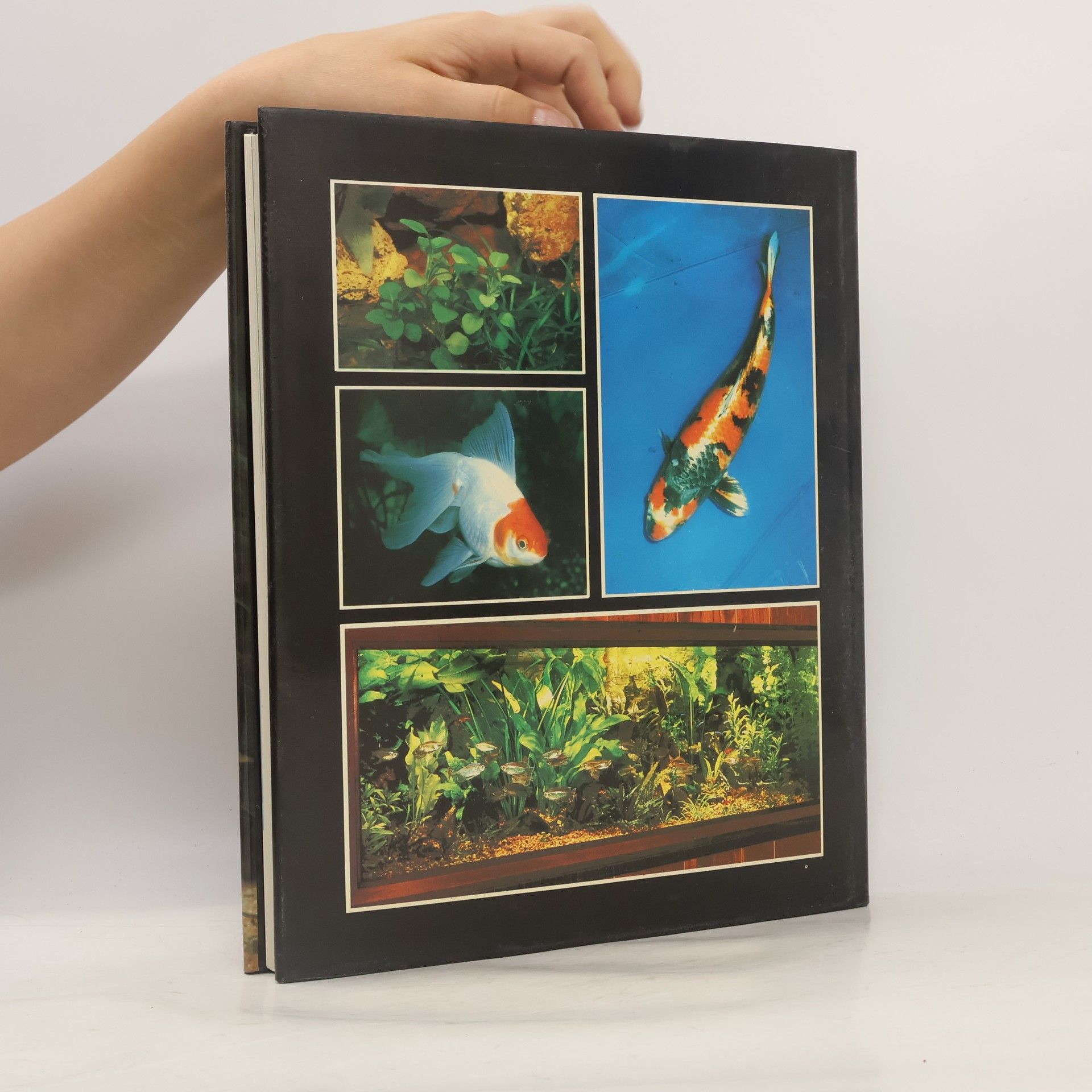 Hans J. Mayland Aquarium - Pflanzen - Fische