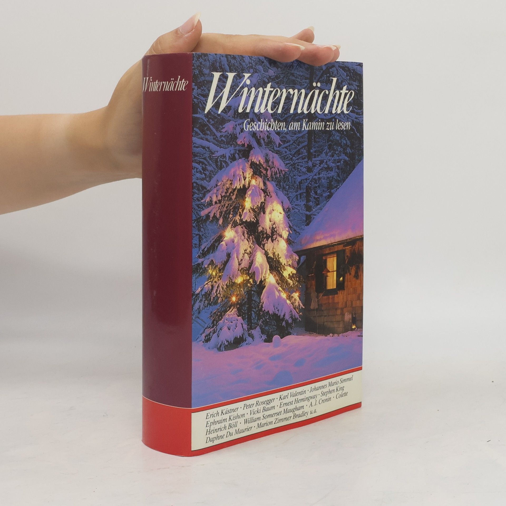 Autorenkollektiv Winternächte. Geschichten, am Kamin zu lesen