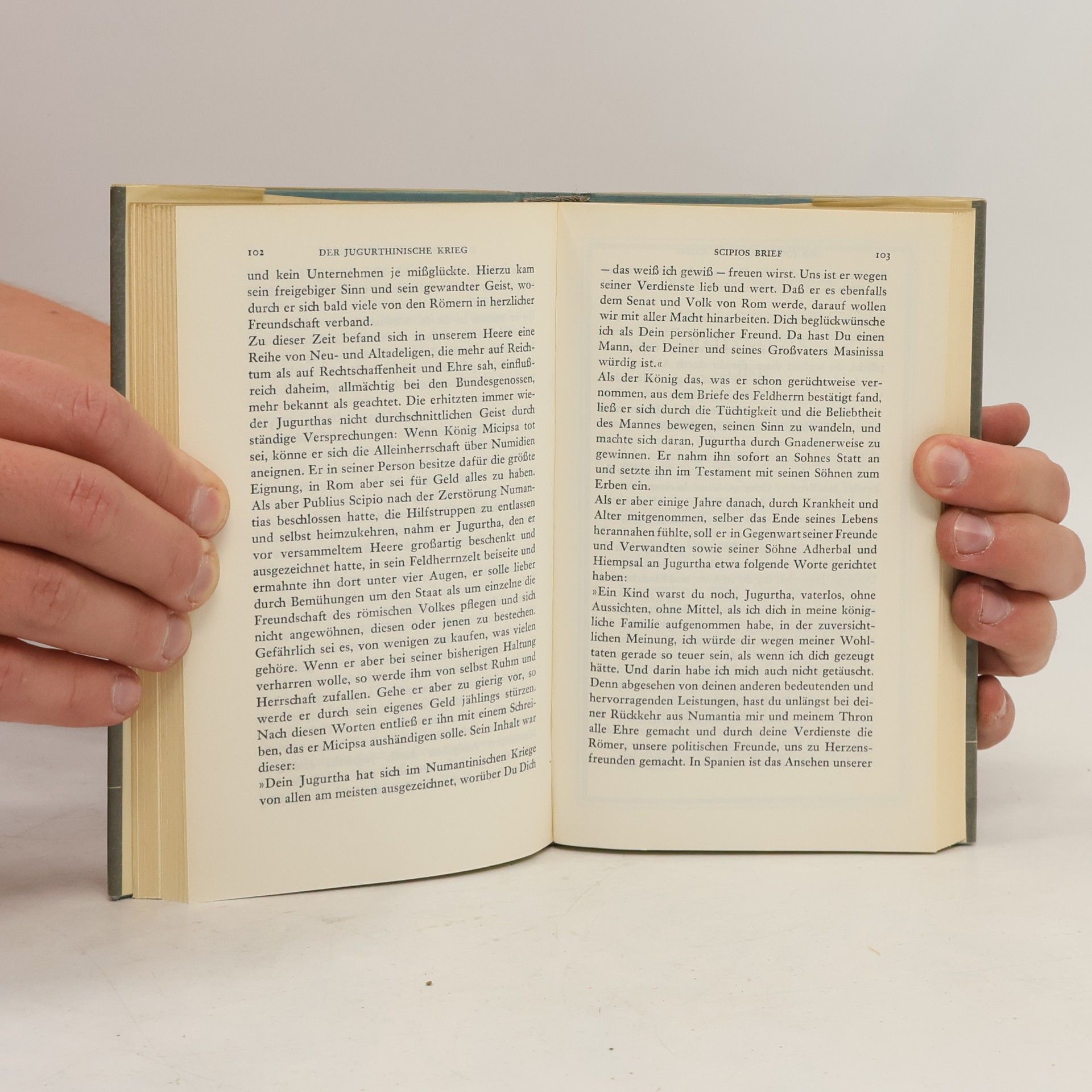 Heinrich Weinstock Sallust. Das Jahrhundert der Revolution