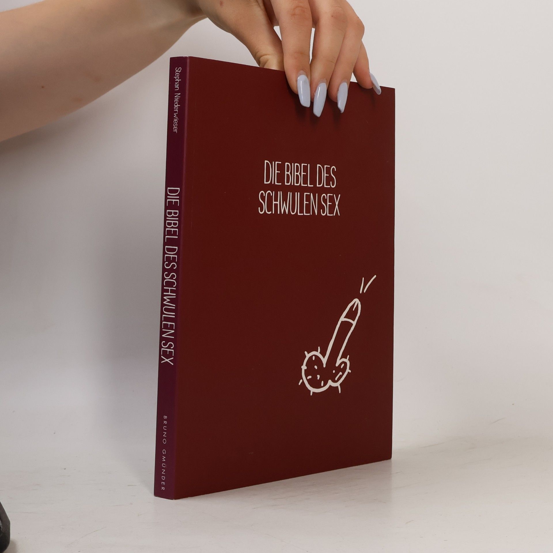 Stephan Niederwieser Die Bibel des schwulen Sex