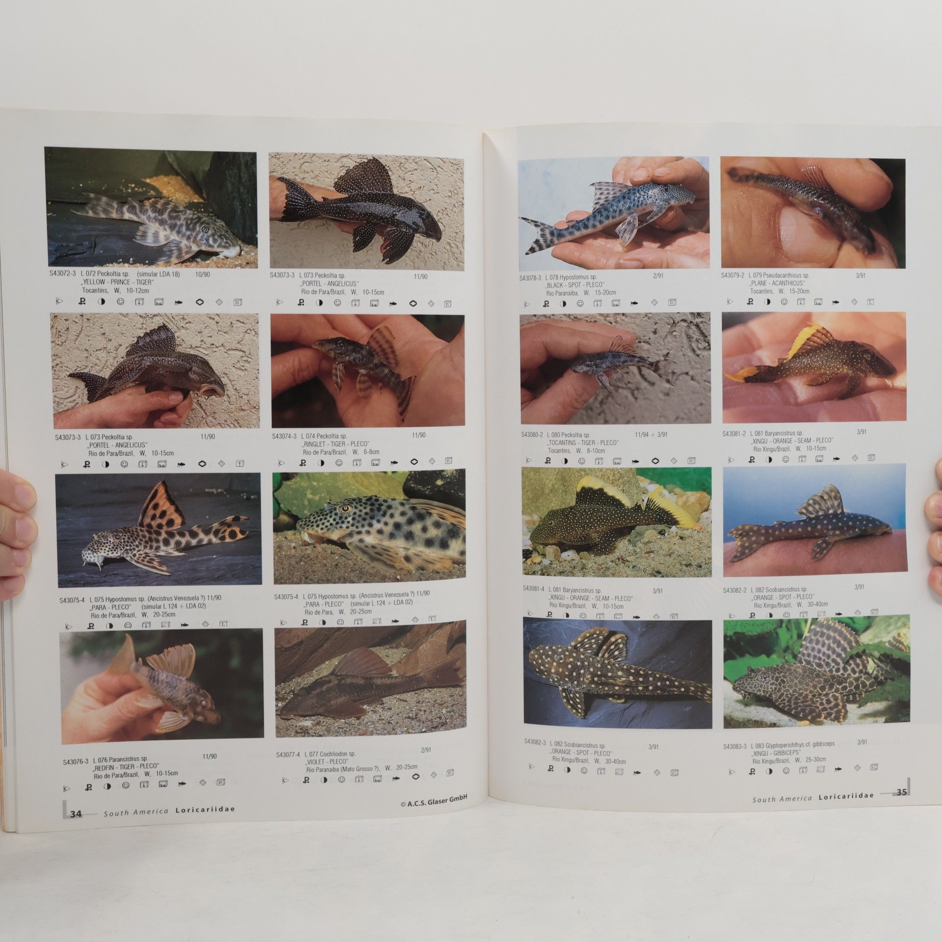 Ulrich Glaser Loricariidae