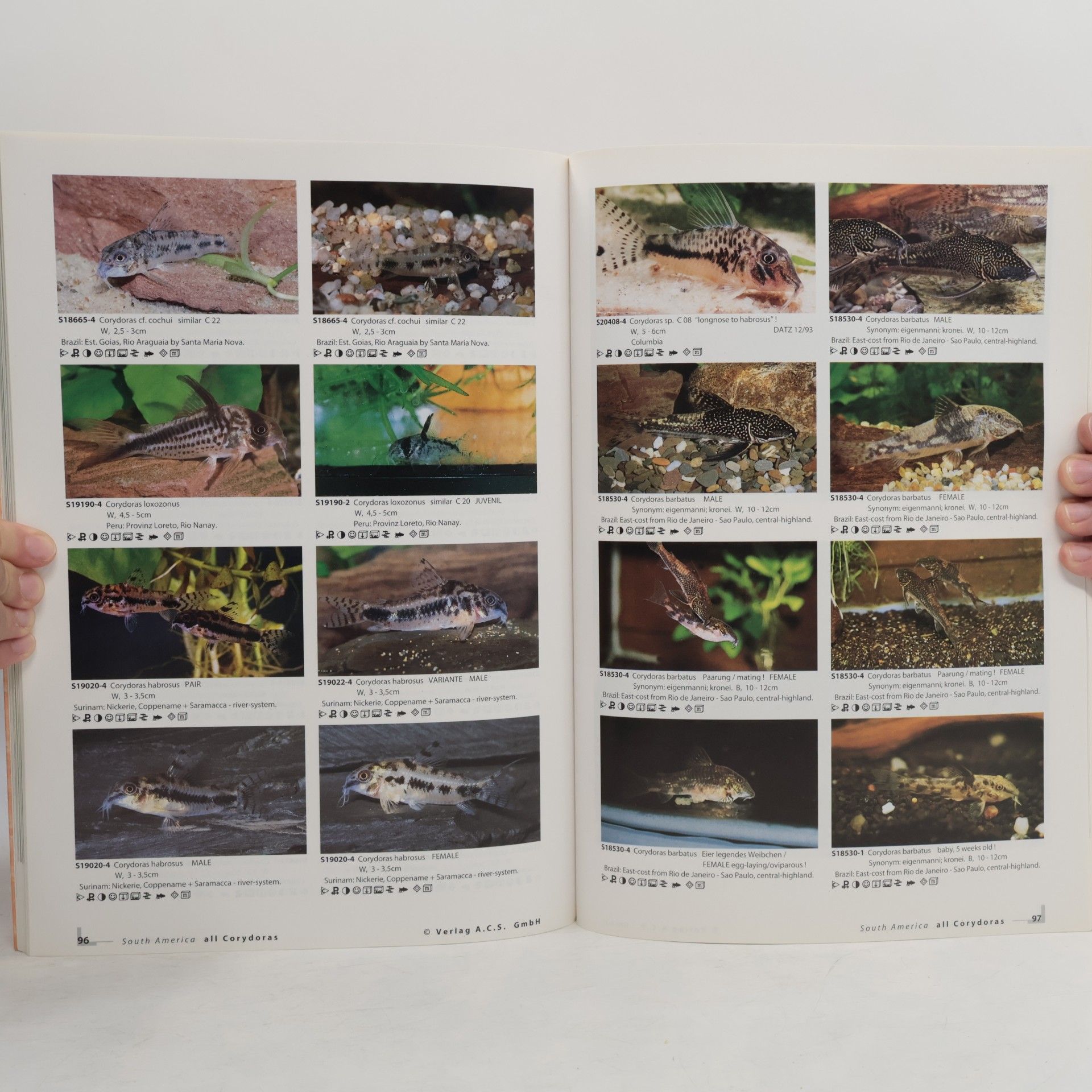 Ulrich Glaser All Corydoras