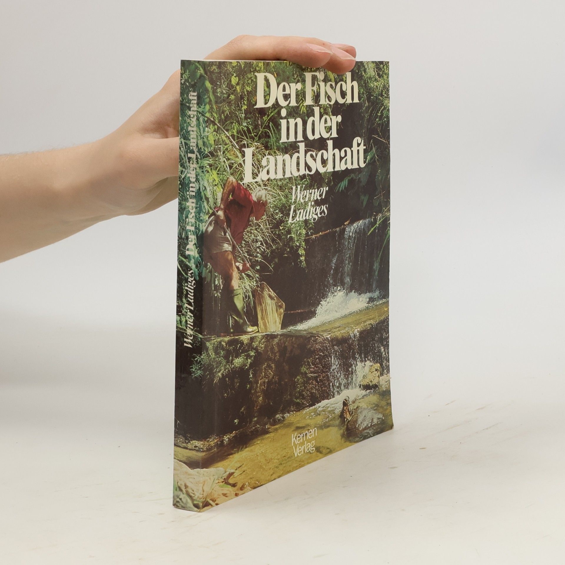 Der Fisch in der Landschaft