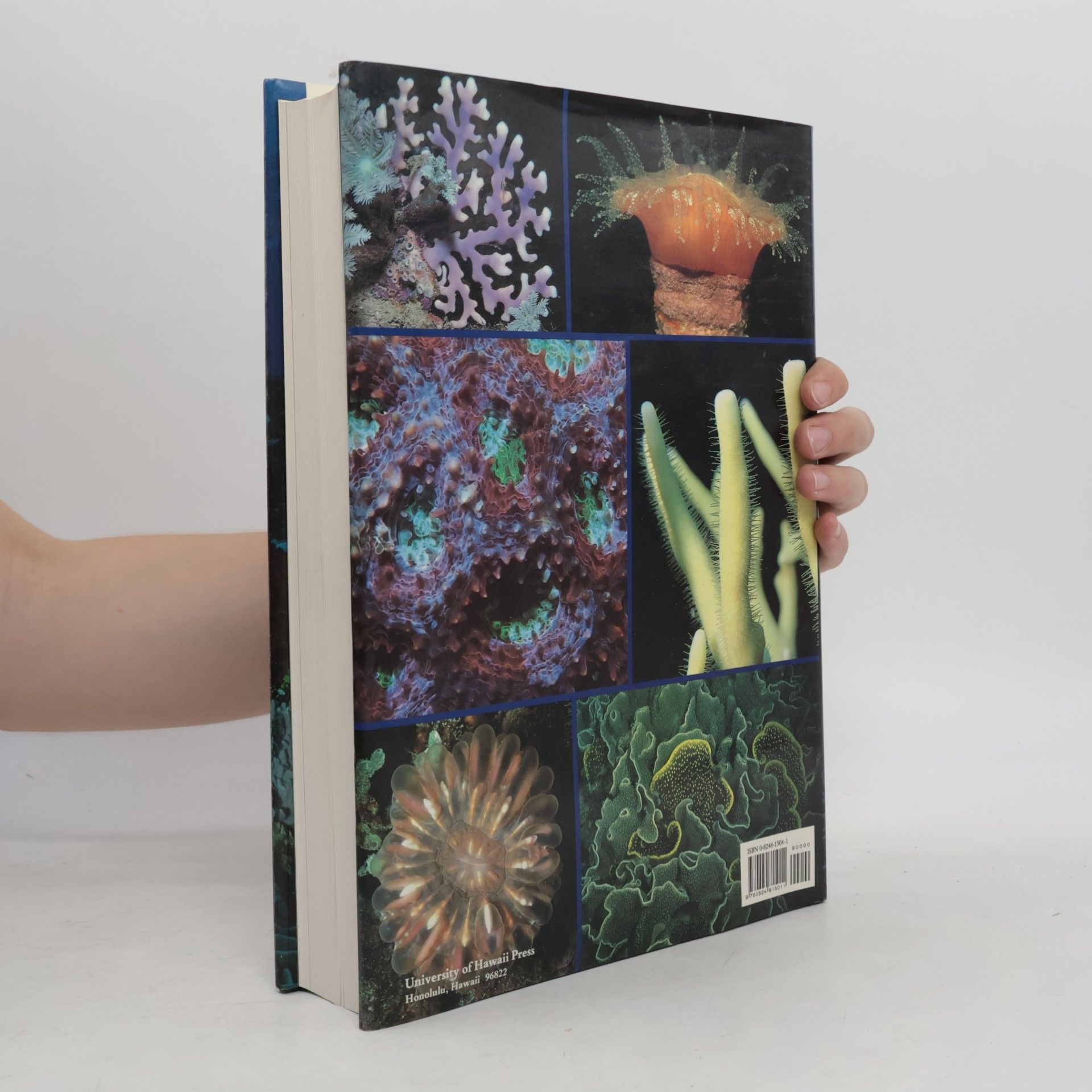 John Edward Norwood Veron Corals of Australia and the Indo-Pacific