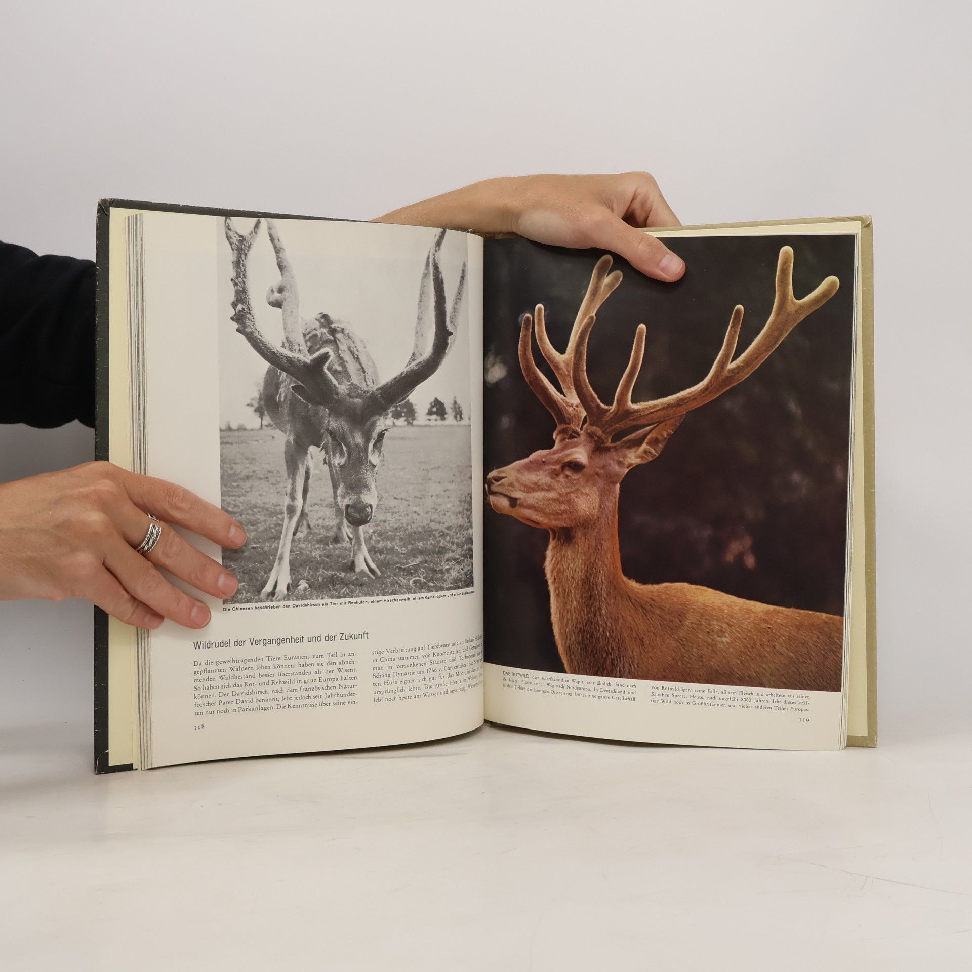 François Bourlière Eurasien. Flora und Fauna