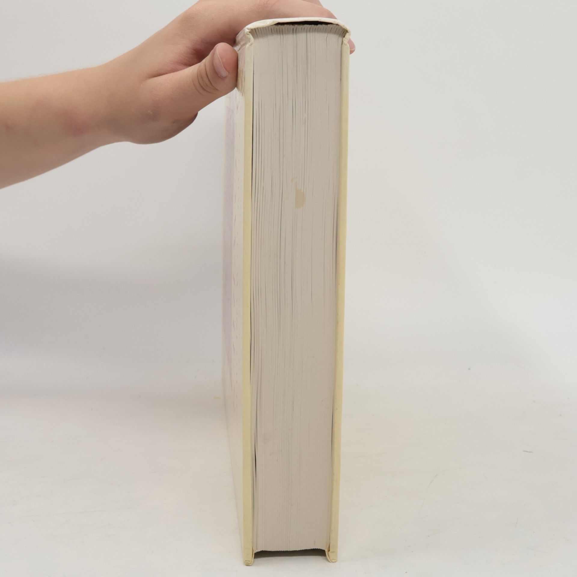 Felix Lorenz A guide to worldwide cowries