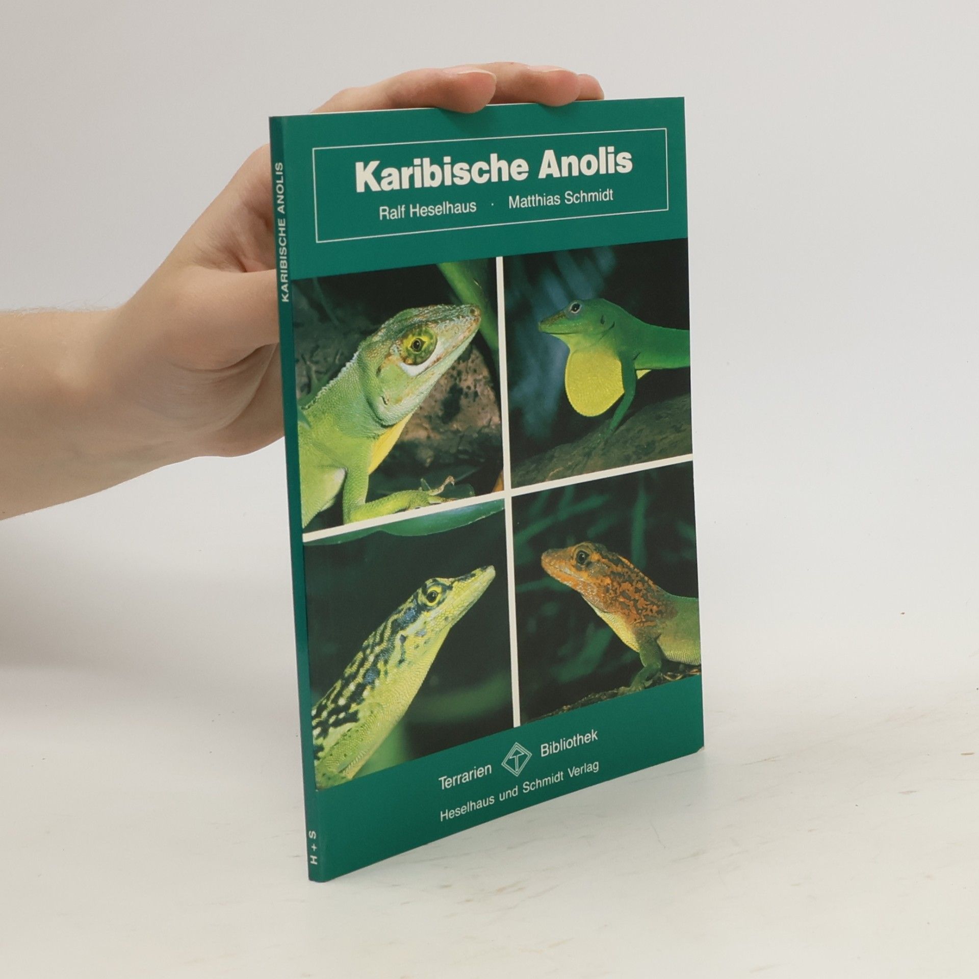 Ralf Heselhaus Karibische Anolis