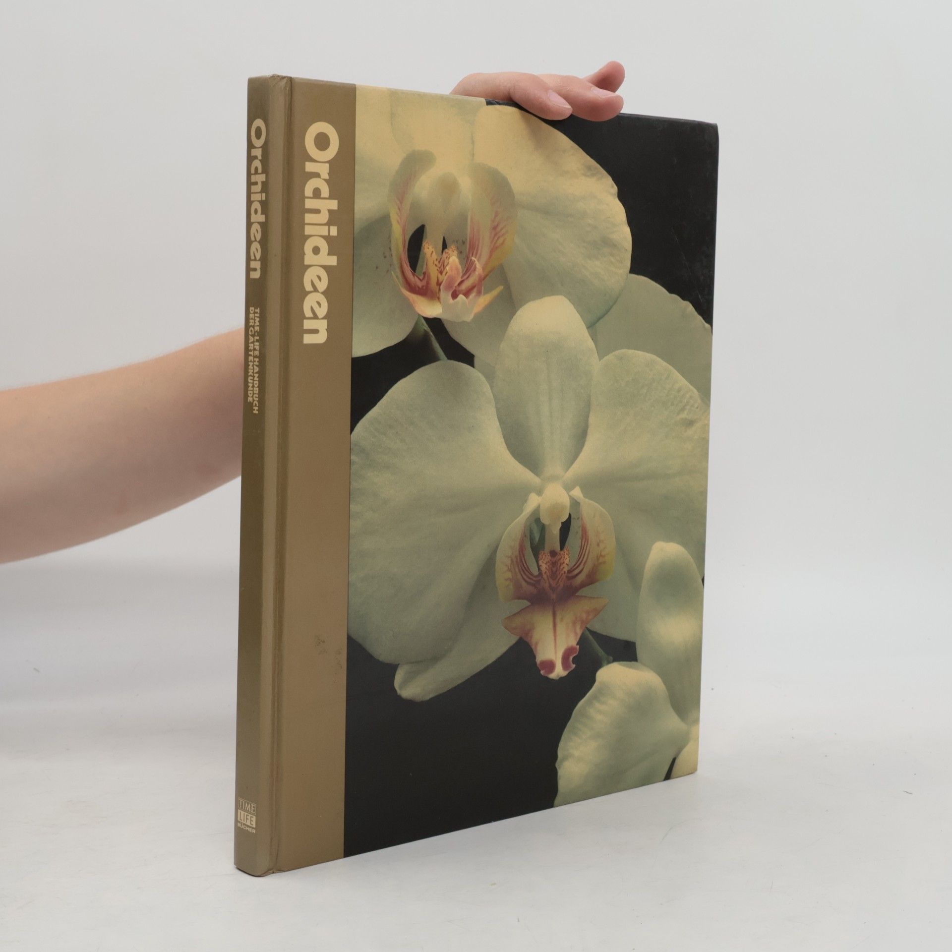 Alice Skelsey Orchideen