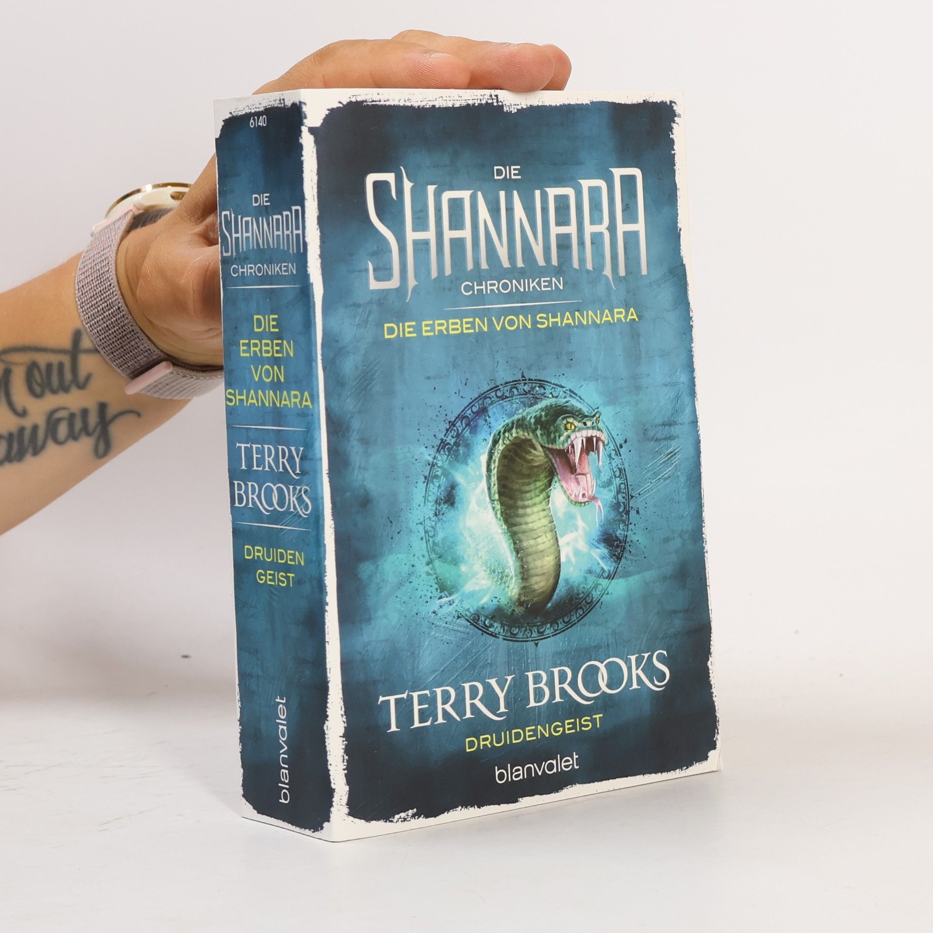 Terry Brooks Druidengeist