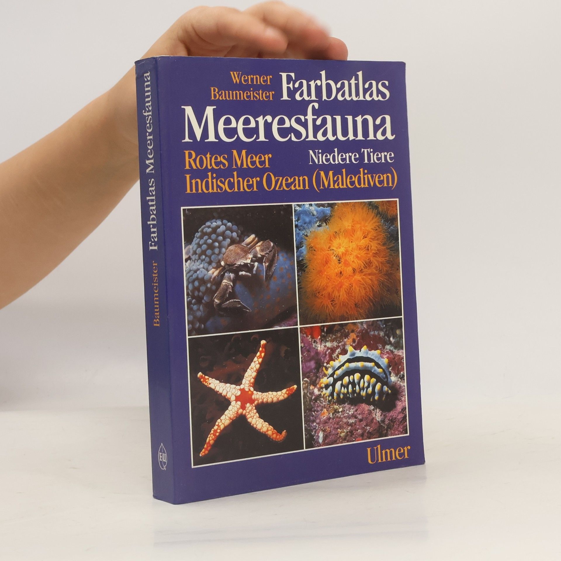 Werner Baumeister Farbatlas Meeresfauna